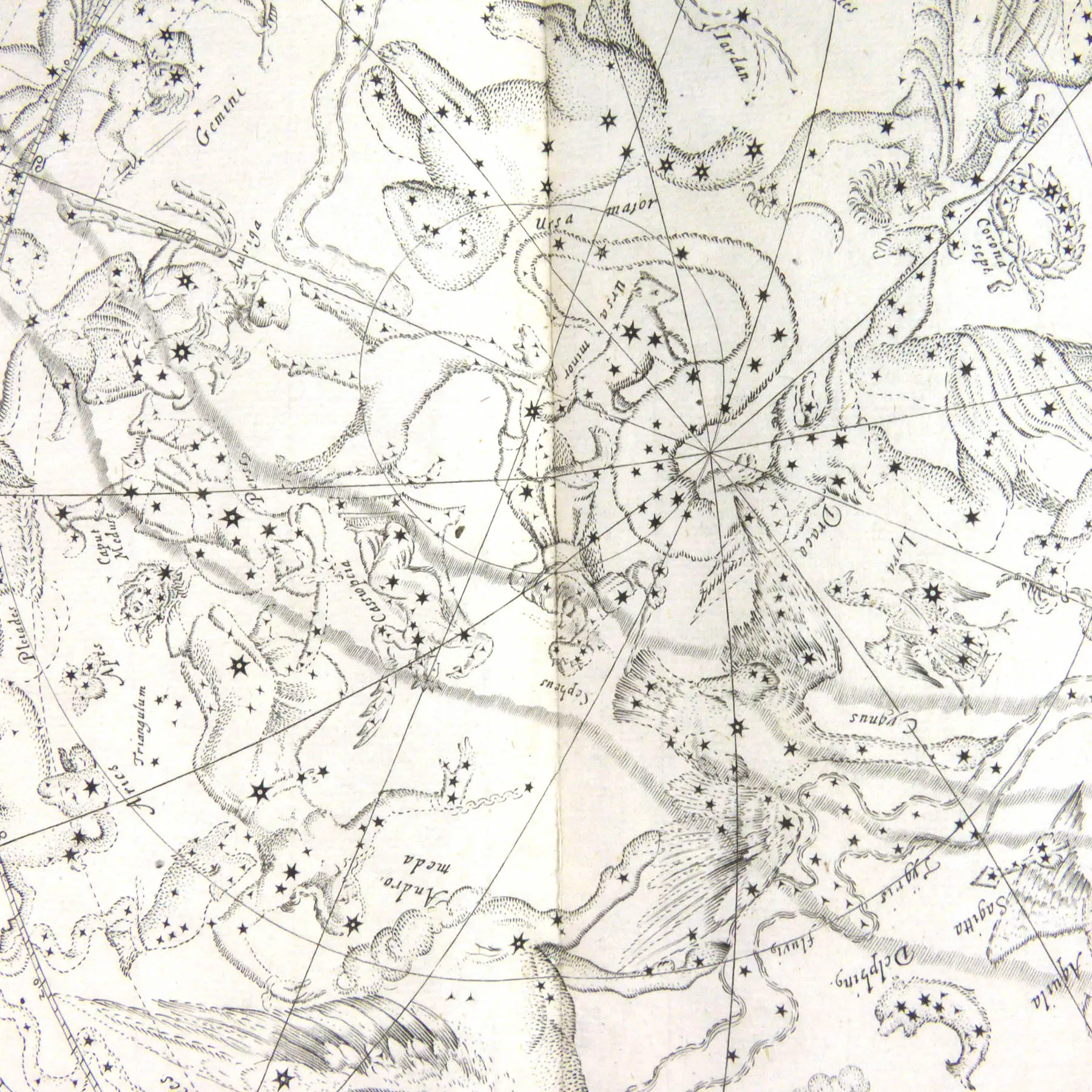 Planiglobium coeleste, et terrestre,