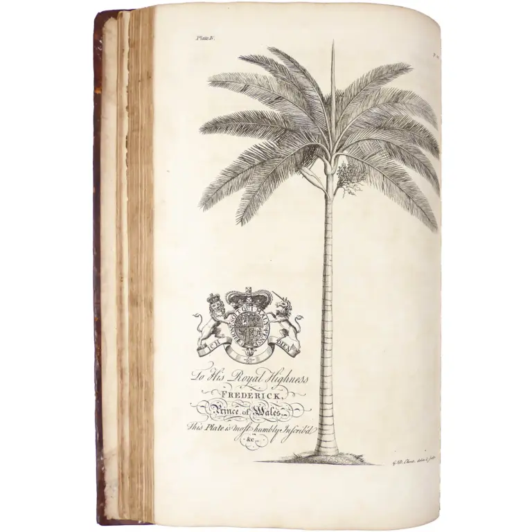 The Natural History of Barbados