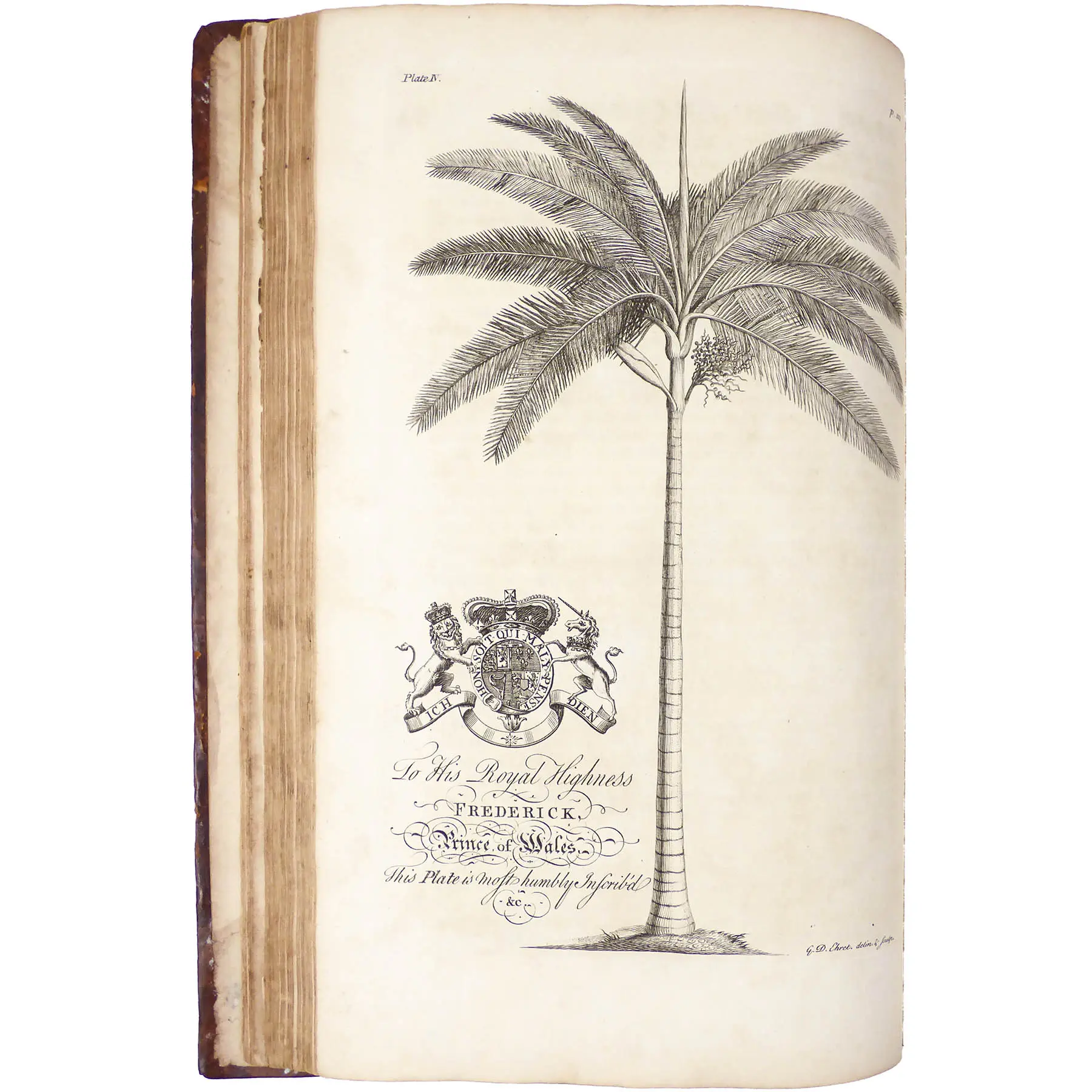The Natural History of Barbados