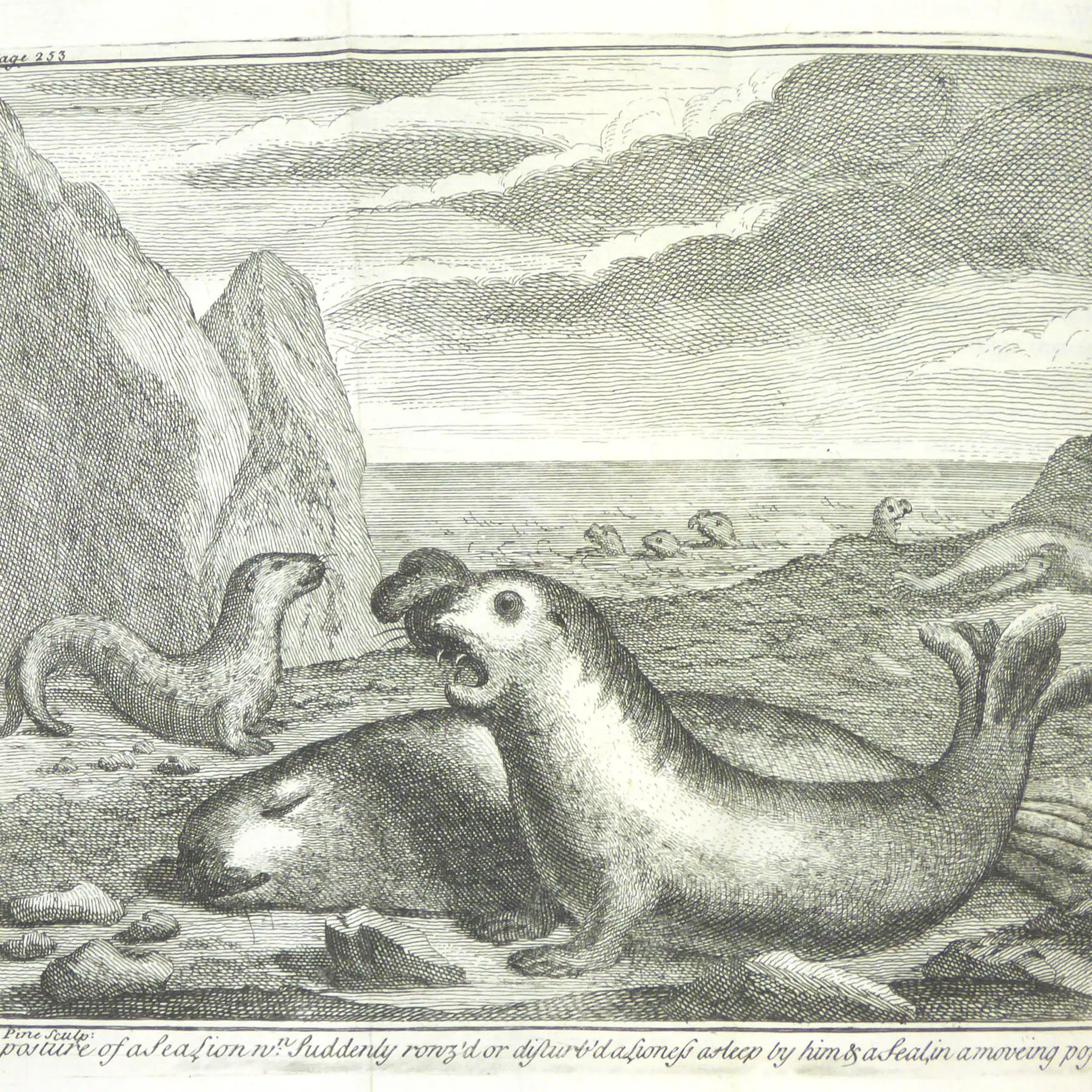 A Voyage round the World by Way of the Great South Sea (3)