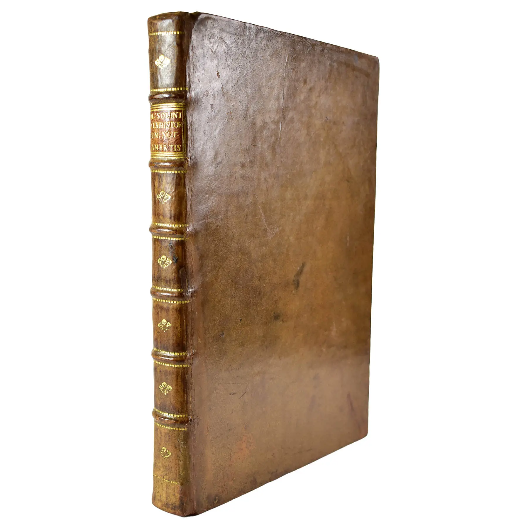 Ioannis Camertis Minoritani, artium, et sacrae theologiae doctoris In C. Iulii Solini Polyistora Enarrationes. Additus eiusdem Camertis Index, tum literarum ordine (3)