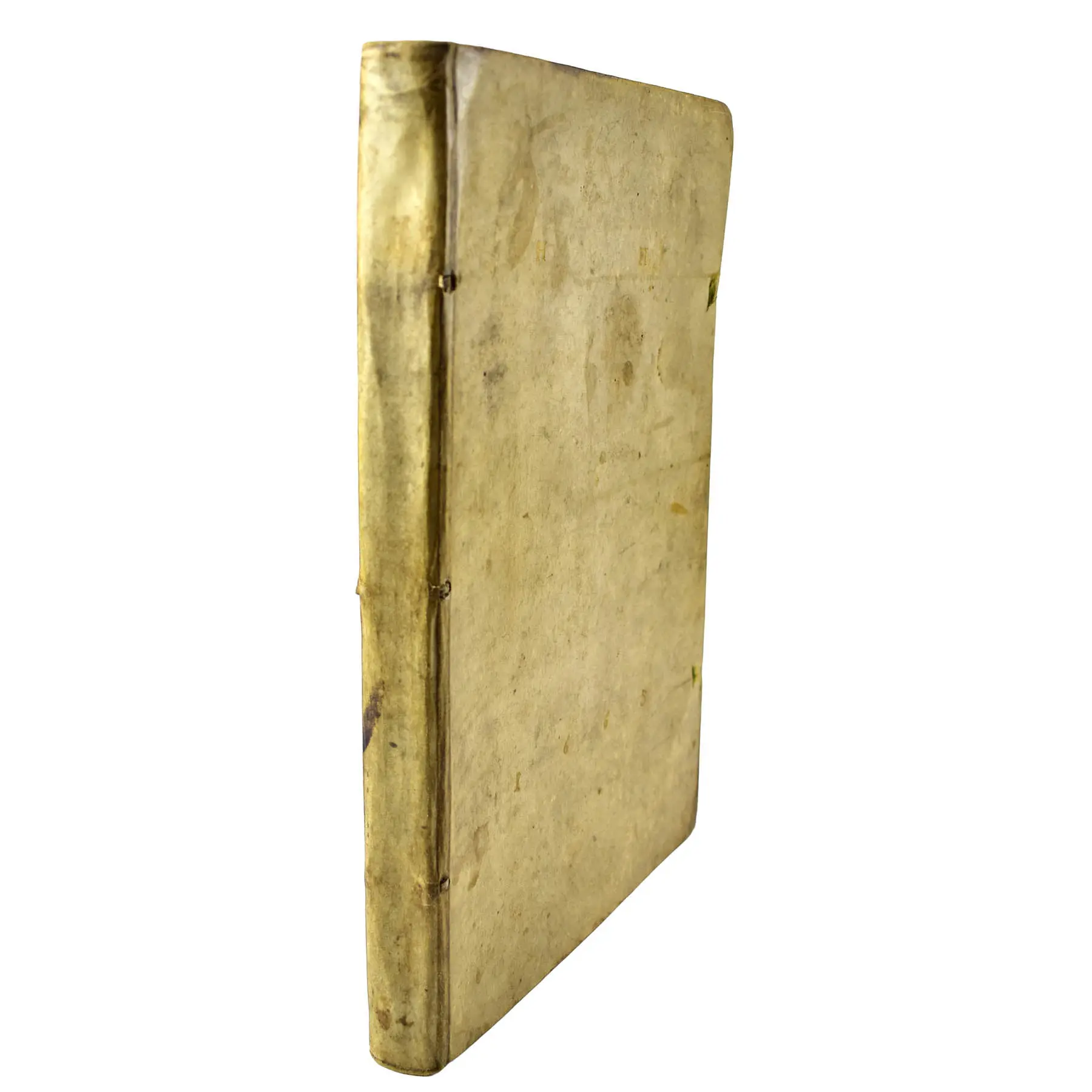 A Very Early Botanical Manuscript with 120 Fine Botanical Watercolours (8)