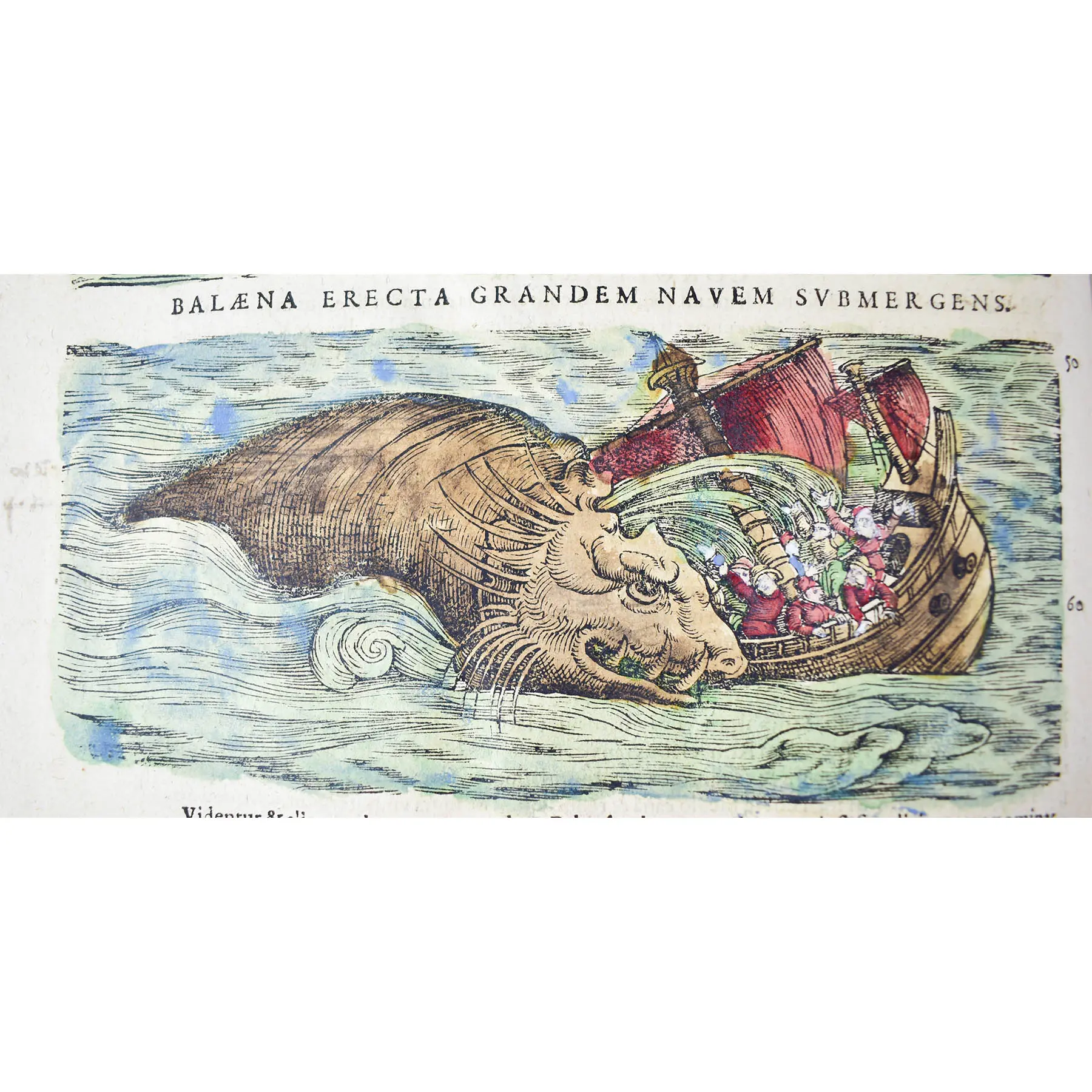 Historiae Animalium liber IV. Qui est de Piscium & Aquatilium Animantium natura. Cum iconibus singulorum ad vivum expressis… Continentur in hoc volumine, Gulielmi Rondeletii… (7)