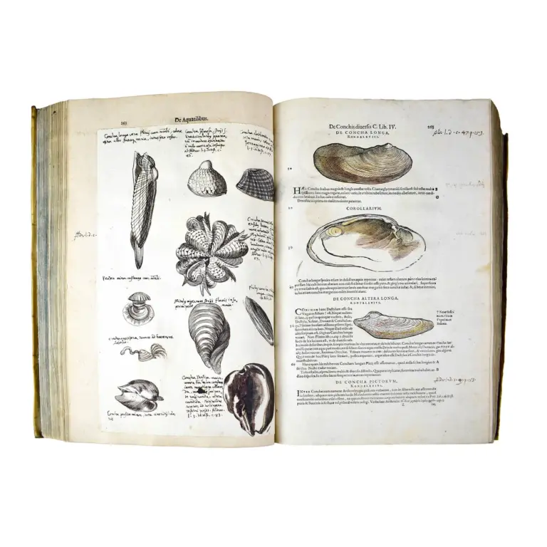 Historiae Animalium liber IV. Qui est de Piscium & Aquatilium Animantium natura. Cum iconibus singulorum ad vivum expressis… Continentur in hoc volumine, Gulielmi Rondeletii…