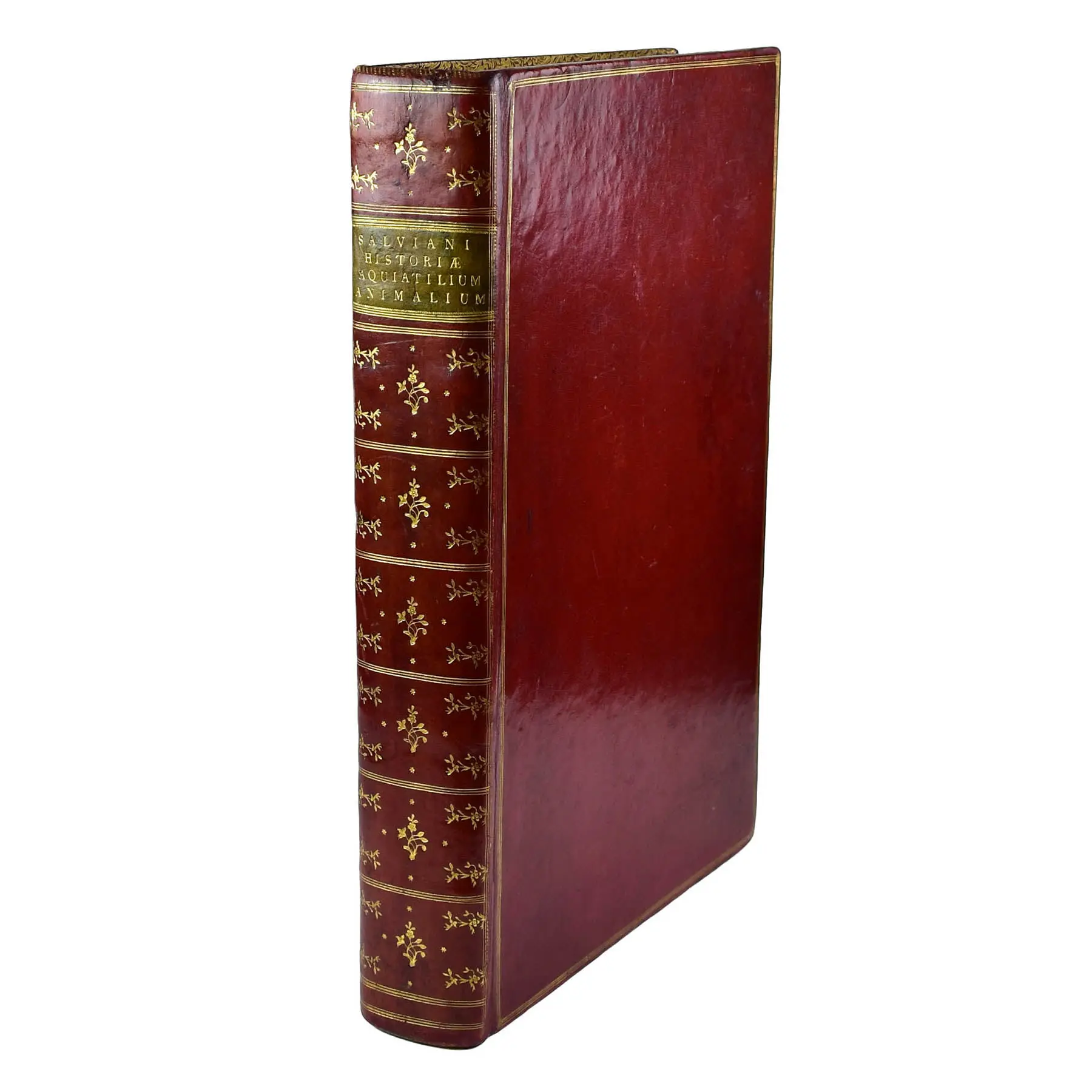 Aquatilium Animalium Historiae, liber primus, cum eorumdem formis, ære excusis (5)