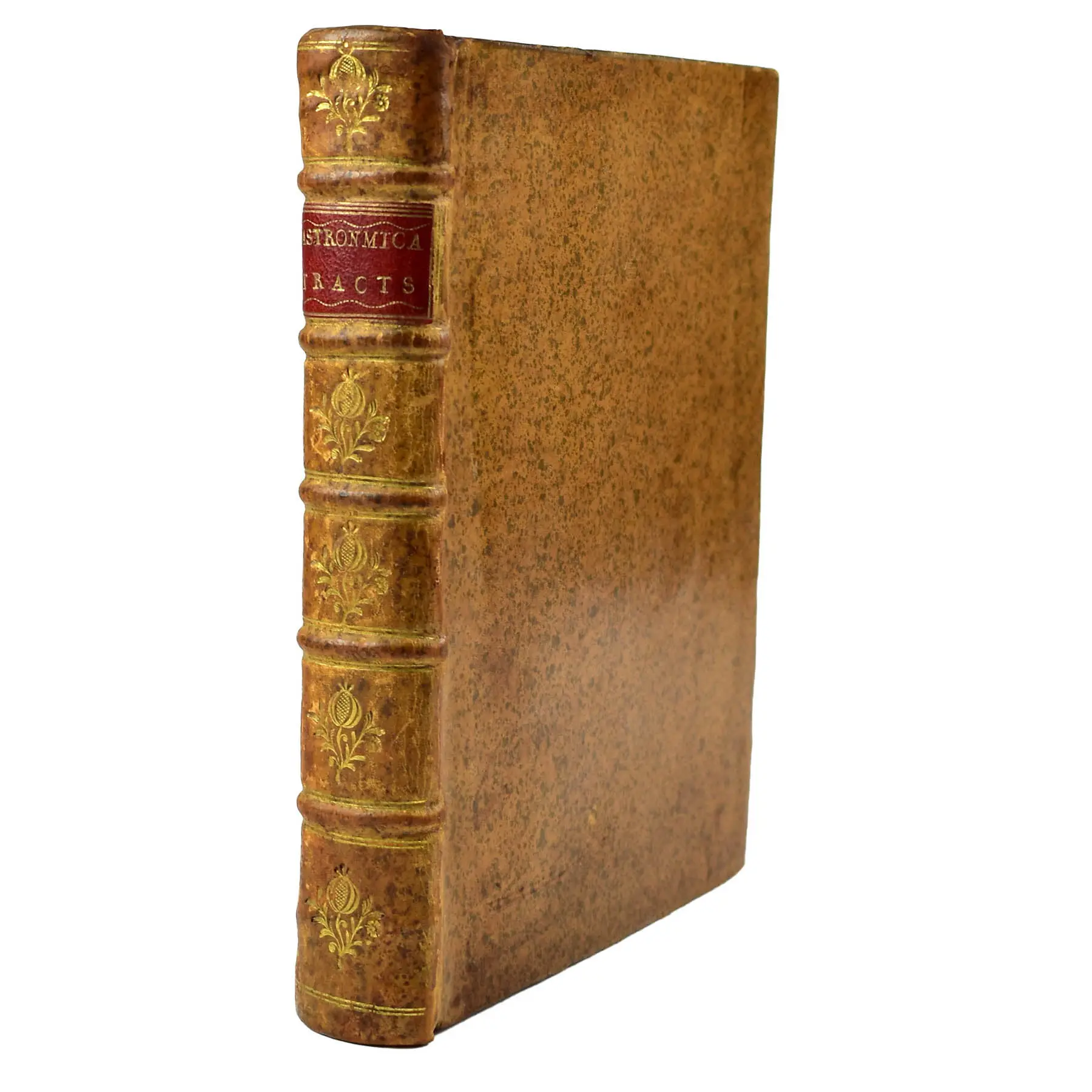Speculum uranicum aquilae romanae sacrum das ist Him[m]els Spiegel darinnen ausser denen ordentlichen auch die ungewöhnlichen Erscheinungen des Himmels mit gebührenden Anfüuhrungen abgebildet (5)