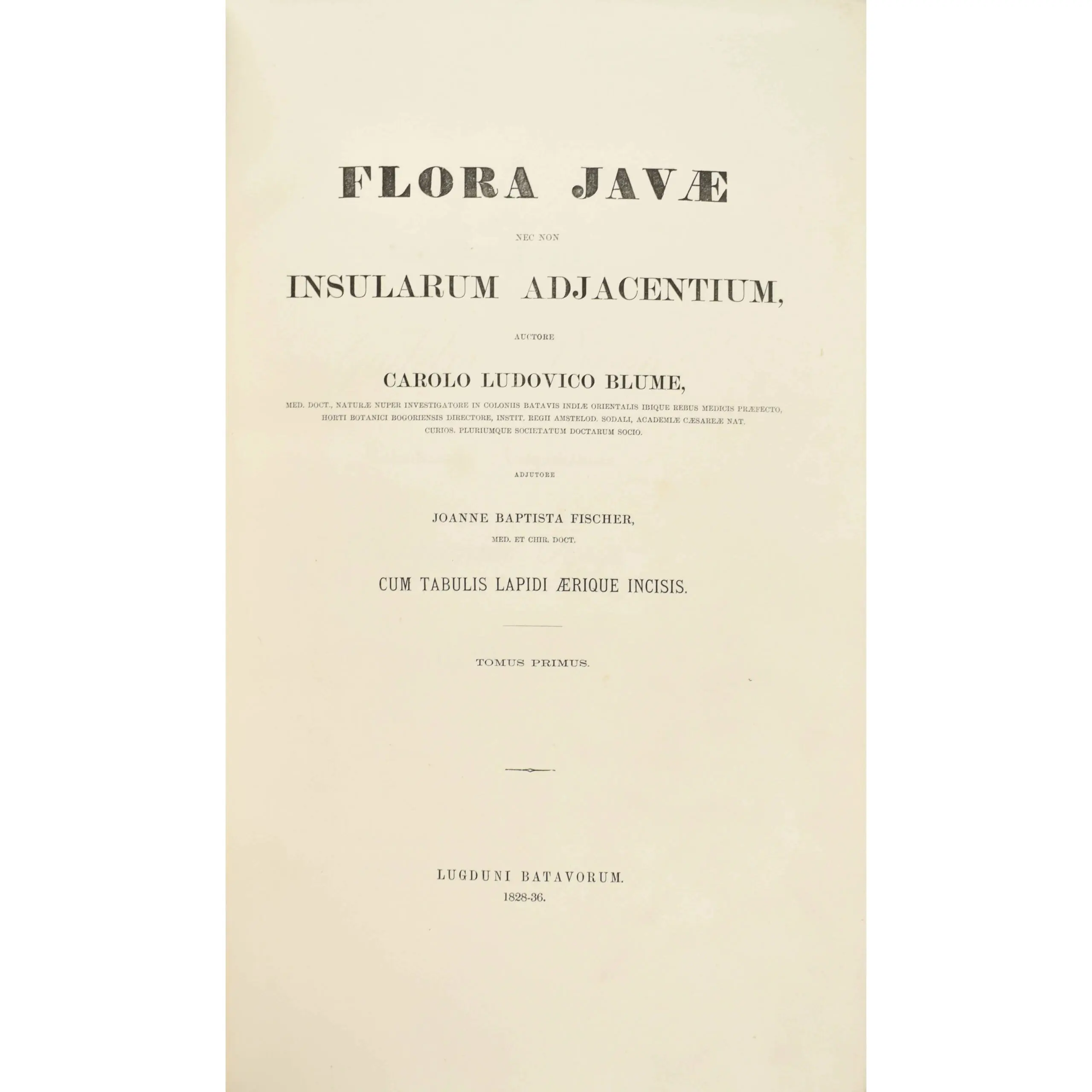 Flora Javae nec non insularum adjacentium… (2)