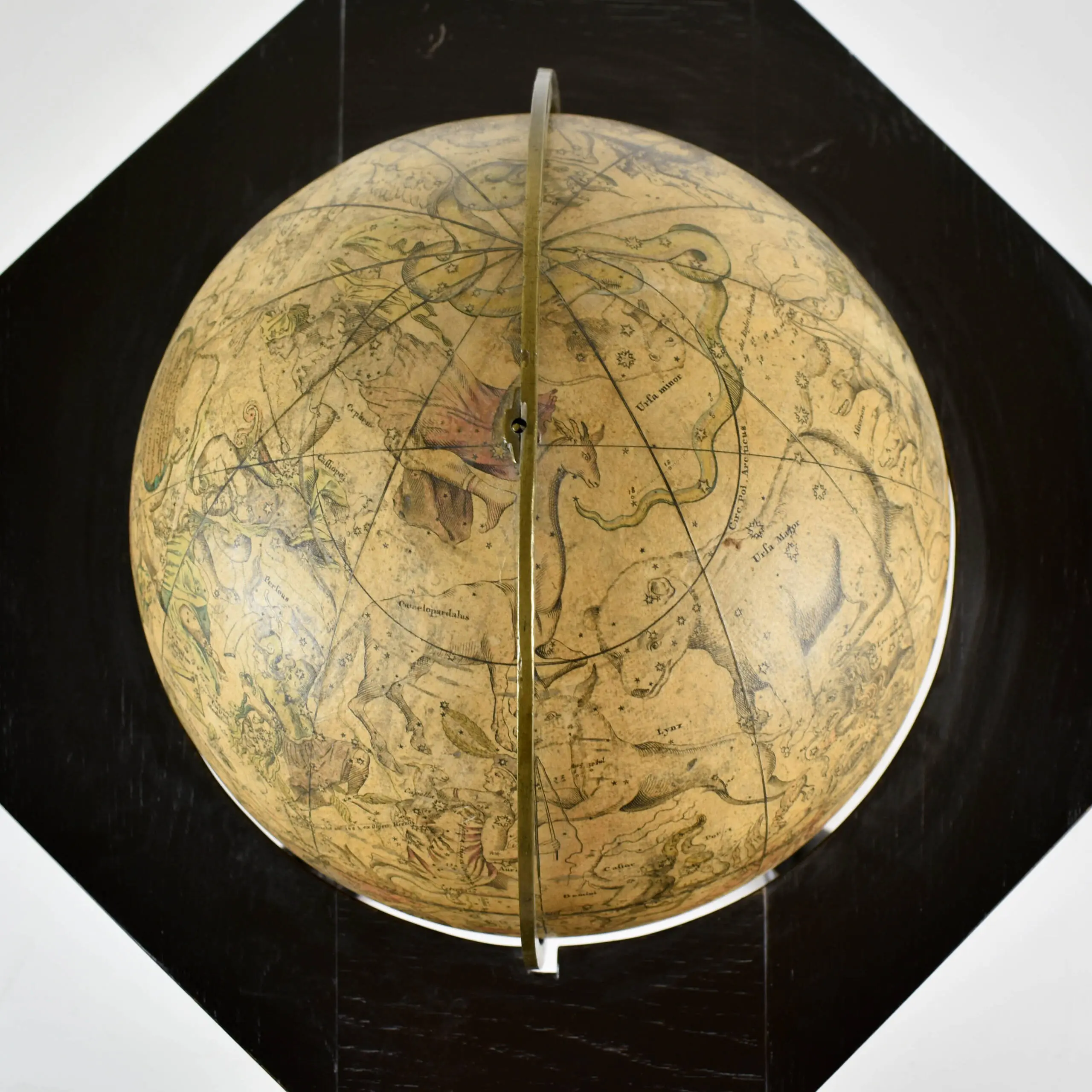 Globus Coelestis Novus Stellarum fixarum Loca secundum celeberimmi Astronomi Dantiscani IOHANNIS HEVELII, Catalogum ad anum Chr. 1730.. IOH GABR< DOPPELMAIERI (2)