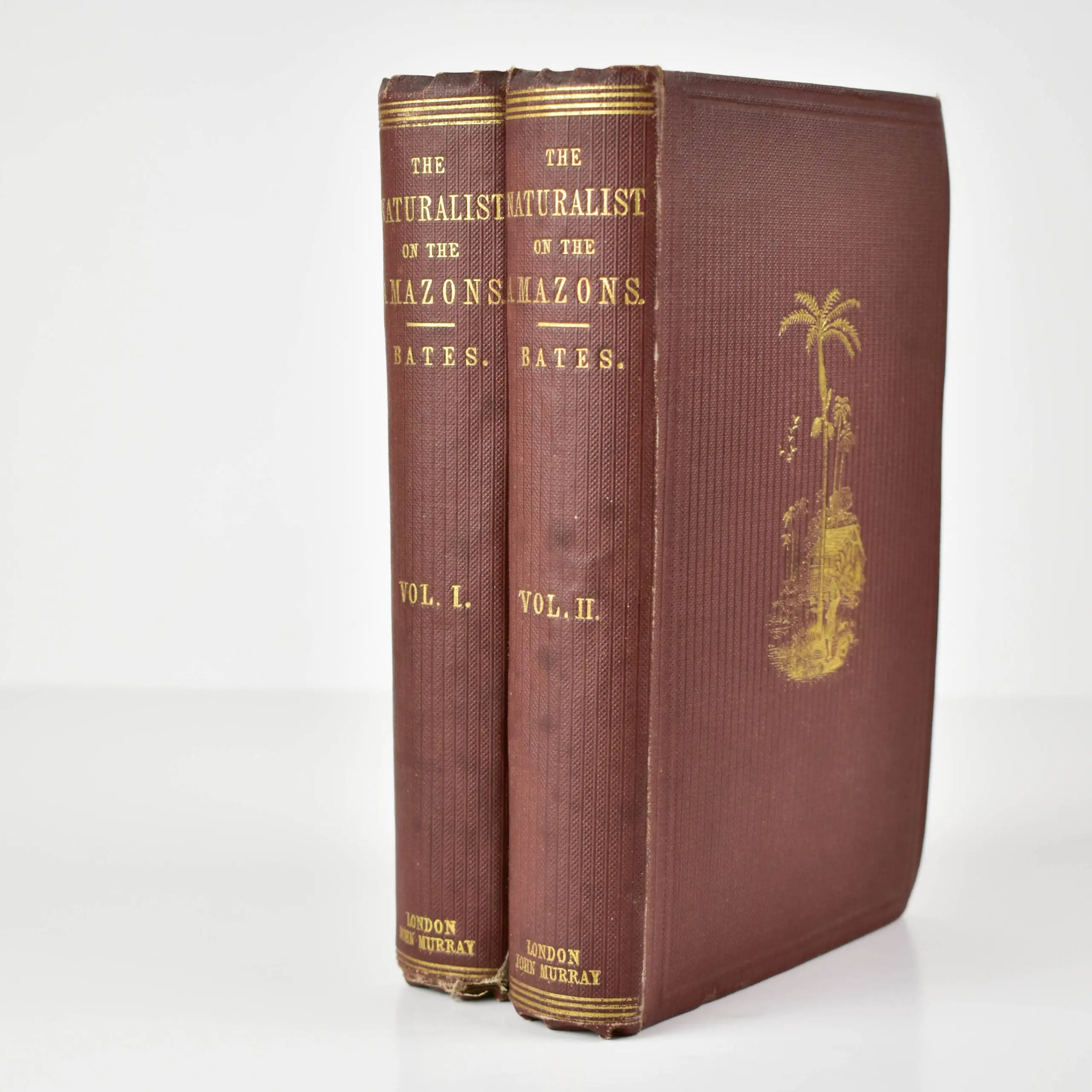 The Naturalist on the River Amazons, a Record of Adventures, Habits of Animals, Sketches of Brazilian and Indian Life (2)