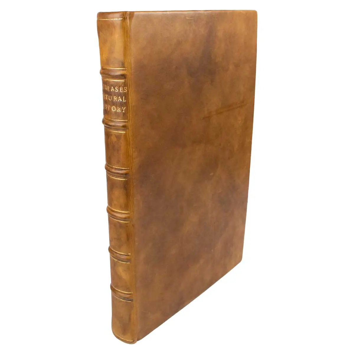 The Natural History of Cornwall: The Air, Climate, Waters, Rivers, Lakes,Sea and Tides; of the Stones, Semimetals, Metals, Tin, and the Manner ofMining; the Constitution of the Stannaries