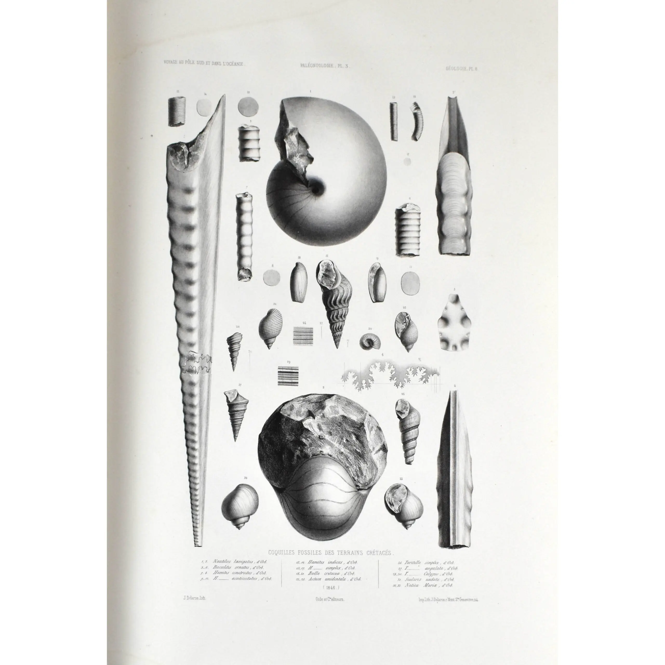 Voyage Au Pole Sud et Dans L’Oceanie sur les corvettes L’Astrolabe et la Zelee Pendant les anees 1837-1838-1839-1840 (4)