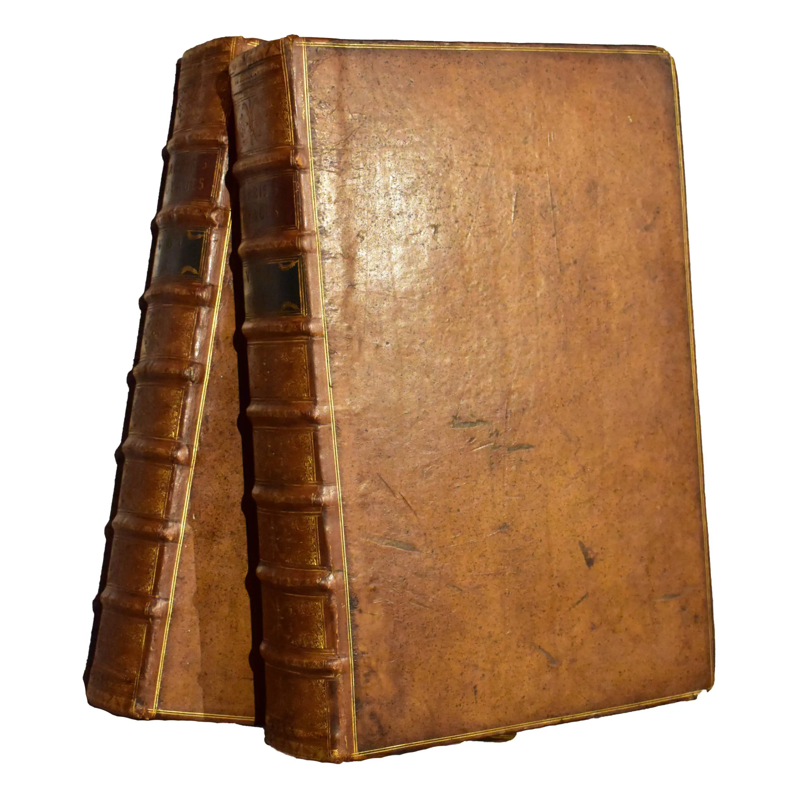 Navigantium atque Itinerantium Bibliotheca or a Complete Collection of Voyages & Travels consisting of above 600 of the Most Authentic Writers… (2)