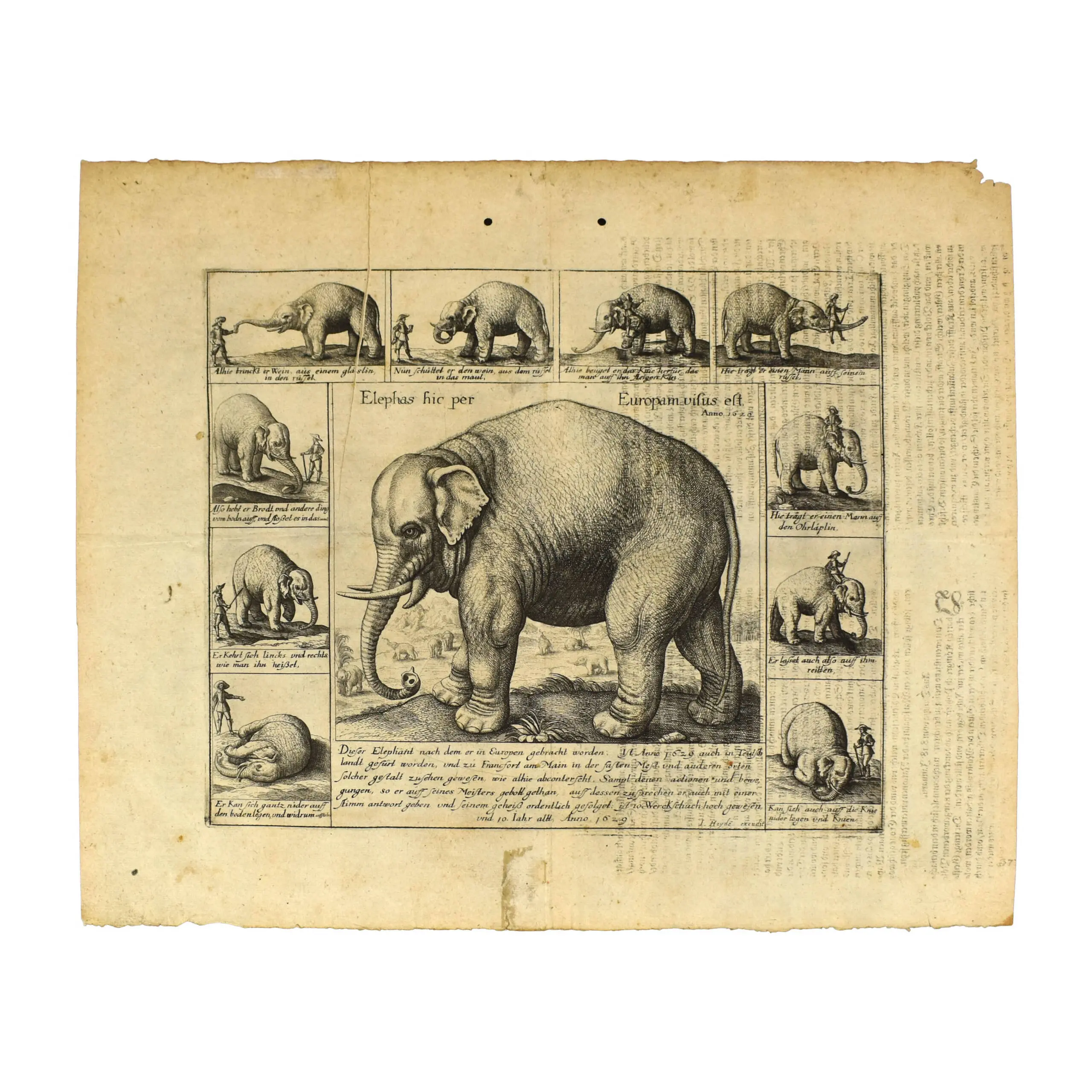 Elephas hic per Europam visus est