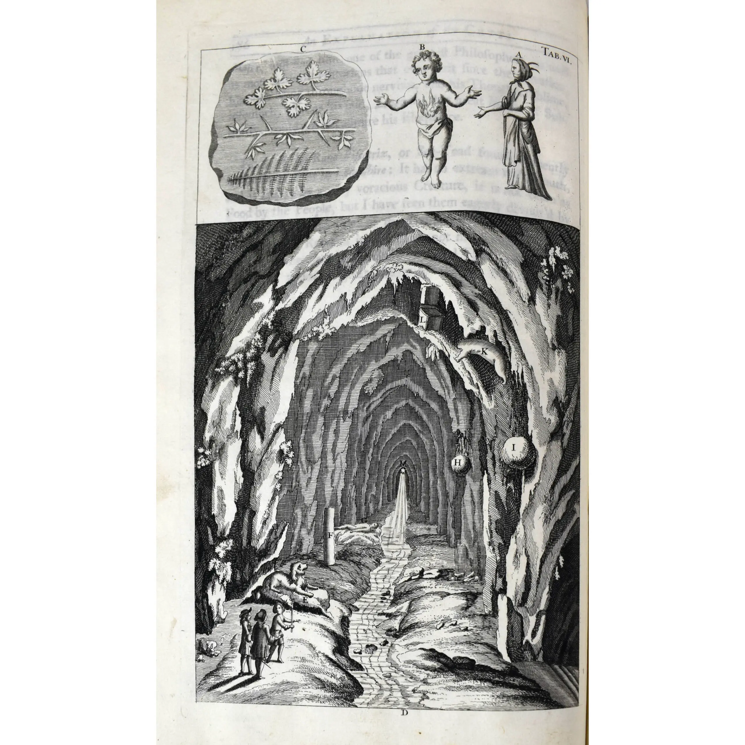 The Natural History of Lancashire, Cheshire, and in the Peak in Derbyshire, with an Account of the British, Phoenician, Armenian, Greek, and Roman Antiquities in those Parts (3)