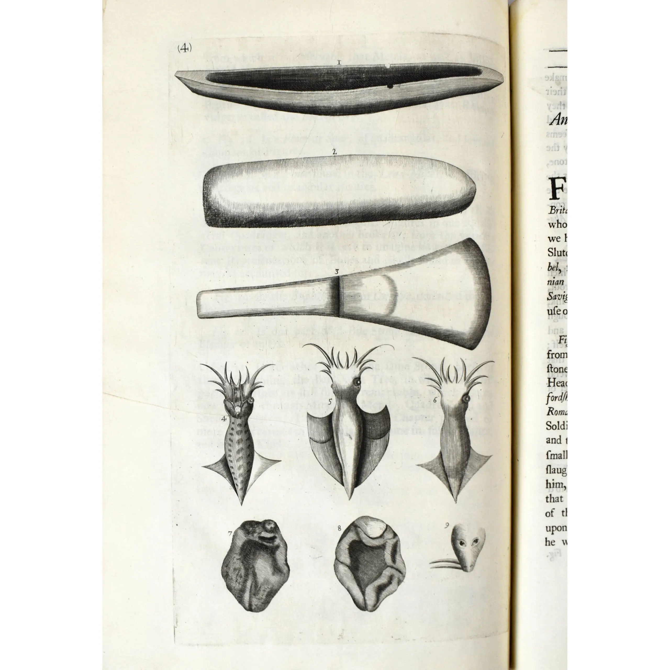 The Natural History of Lancashire, Cheshire, and in the Peak in Derbyshire, with an Account of the British, Phoenician, Armenian, Greek, and Roman Antiquities in those Parts (4)