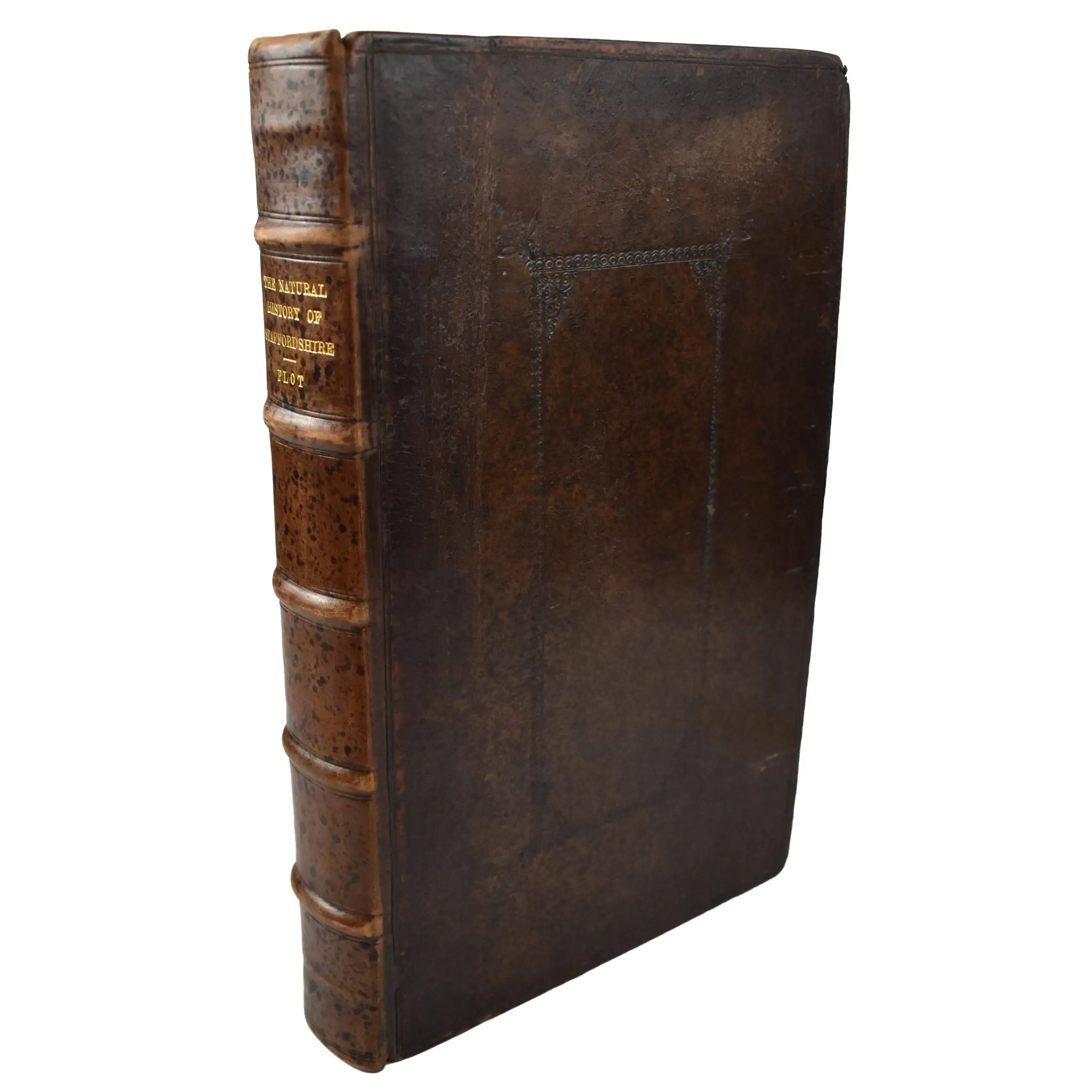 The Natural History of Staffordshire (4)