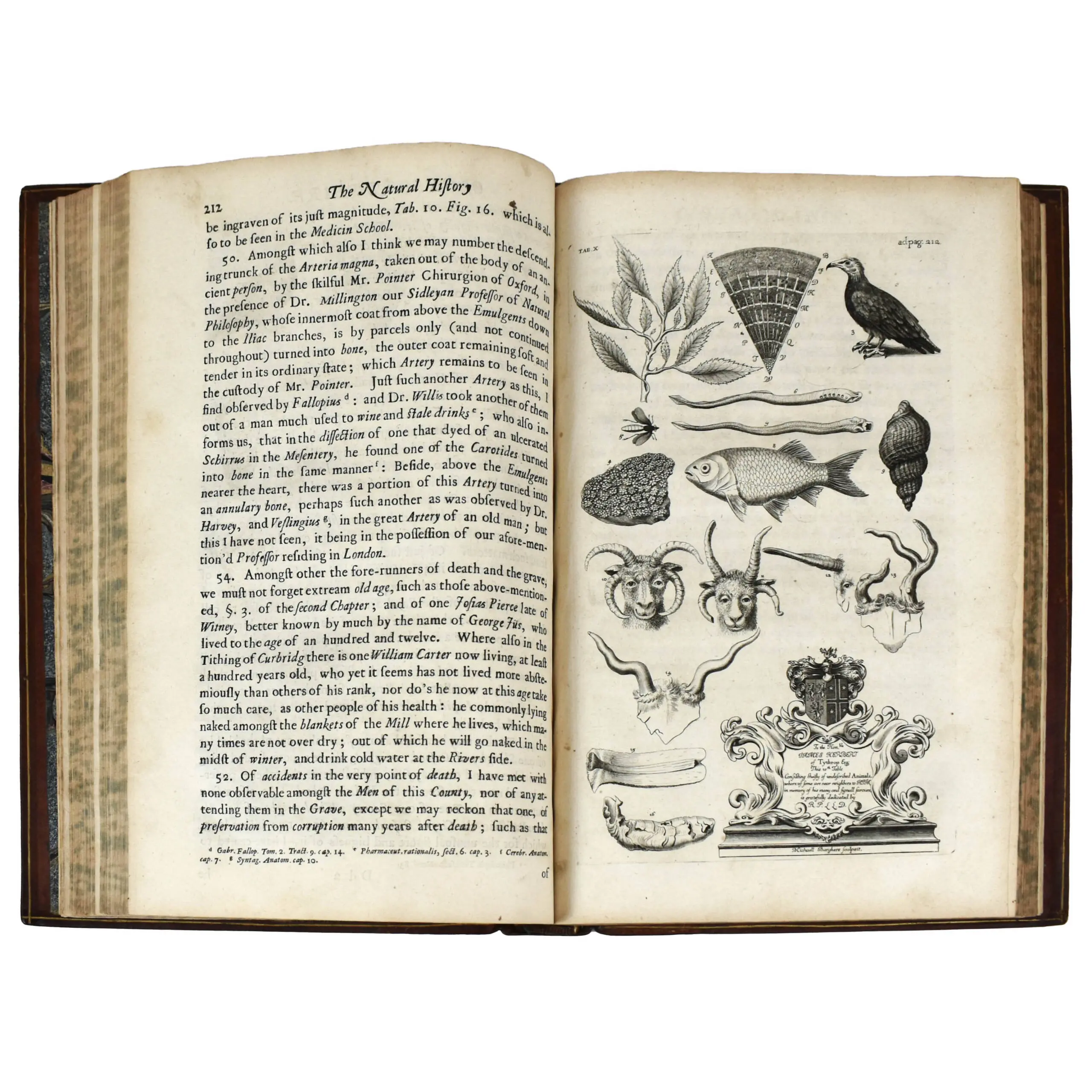 The Natural History of Oxford-Shire,Being an Essay toward the Natural History of England (3)