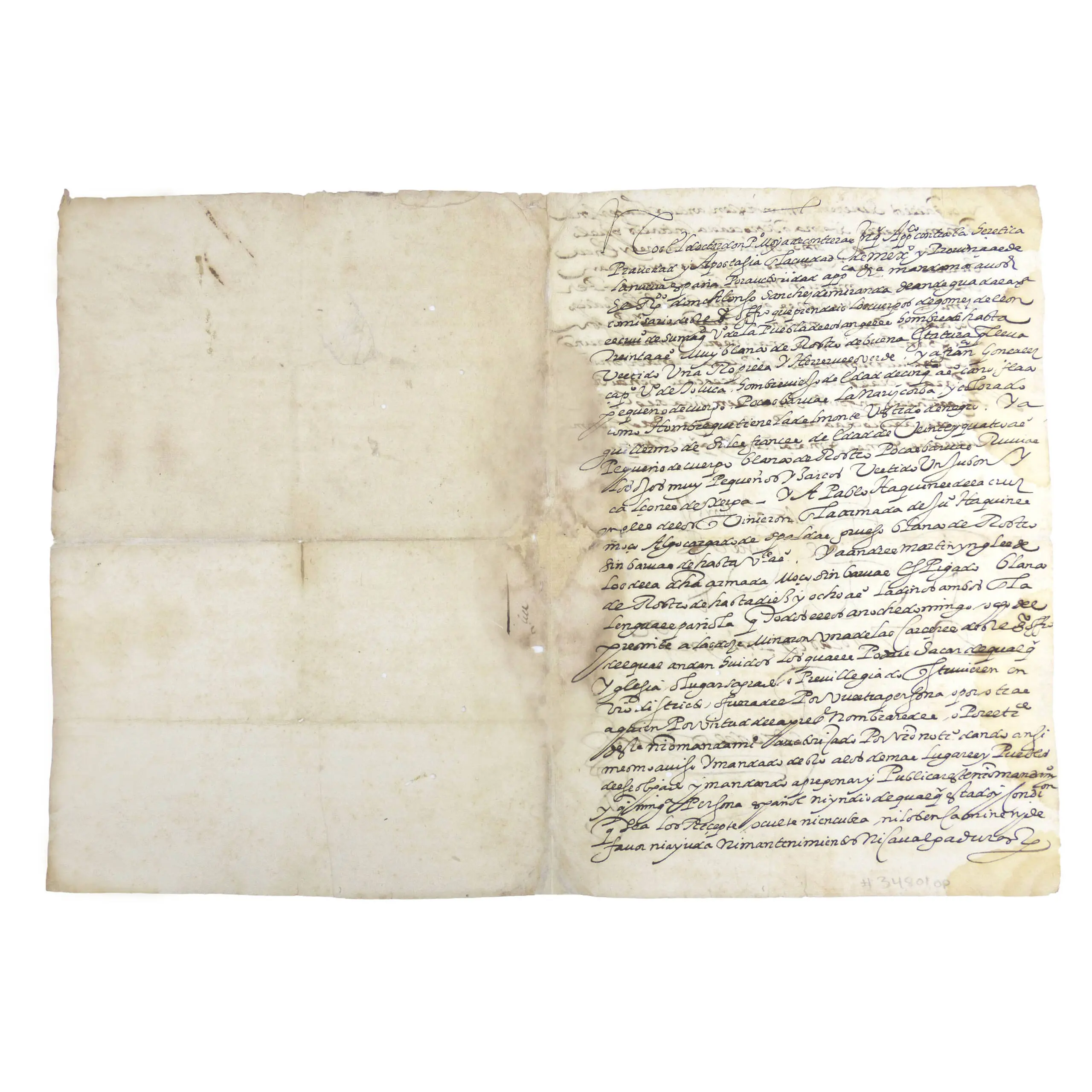 Spanish Pirate MS (2)