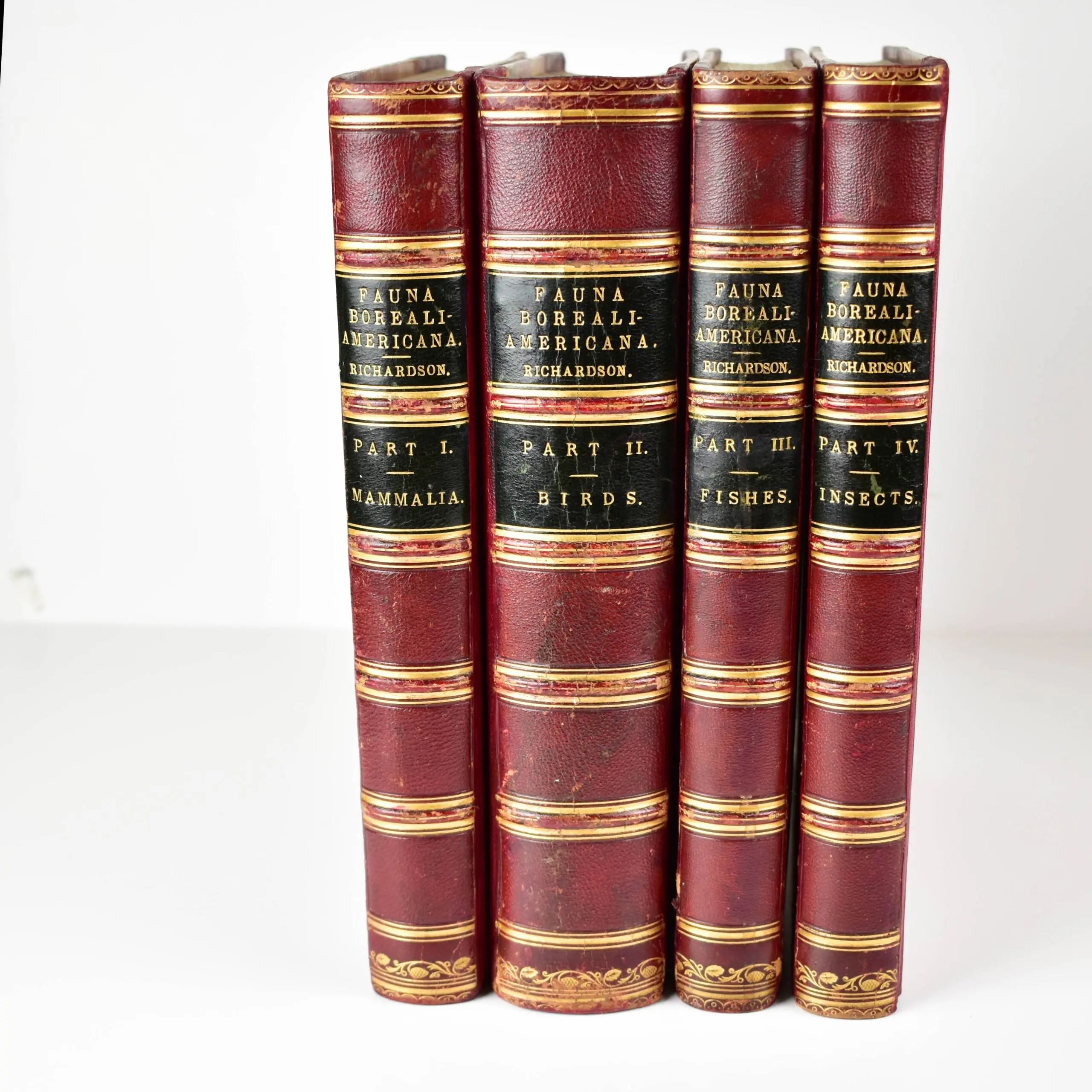 Fauna Boreali-Americana, or, The Zoology of the Northern Parts of British America: containing descriptions of the objects of natural history collected on the late northern land expeditions (5)