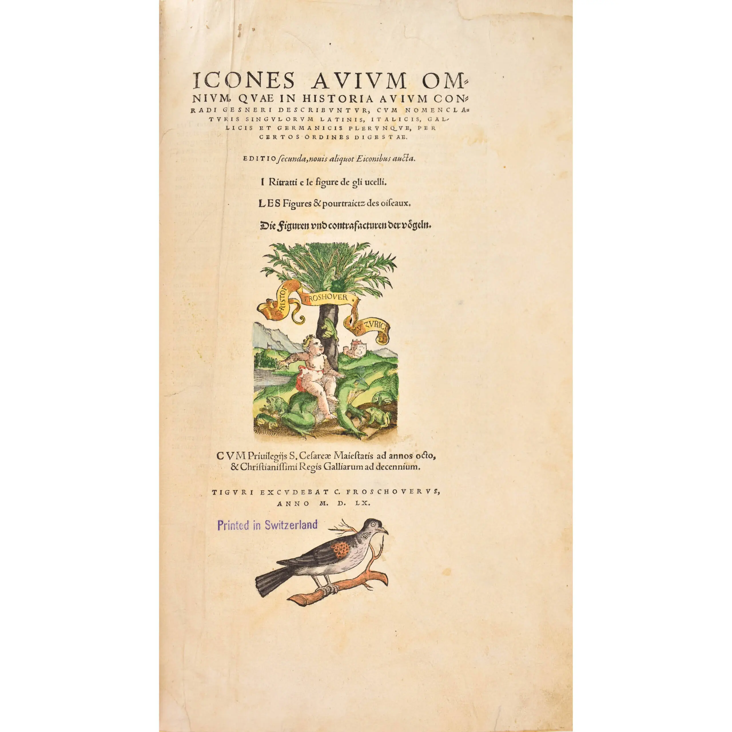 Icones Avium omnium, quae in historia avium Conradi Gesneri describuntur … Editio secunda, novis aliquot eiconibus aucta … Die Figuren und Contrafacturen der Vögeln (2)