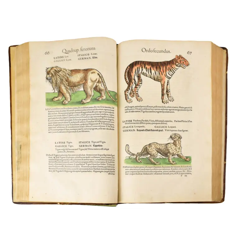 Icones Avium omnium, quae in historia avium Conradi Gesneri describuntur … Editio secunda, novis aliquot eiconibus aucta … Die Figuren und Contrafacturen der Vögeln.