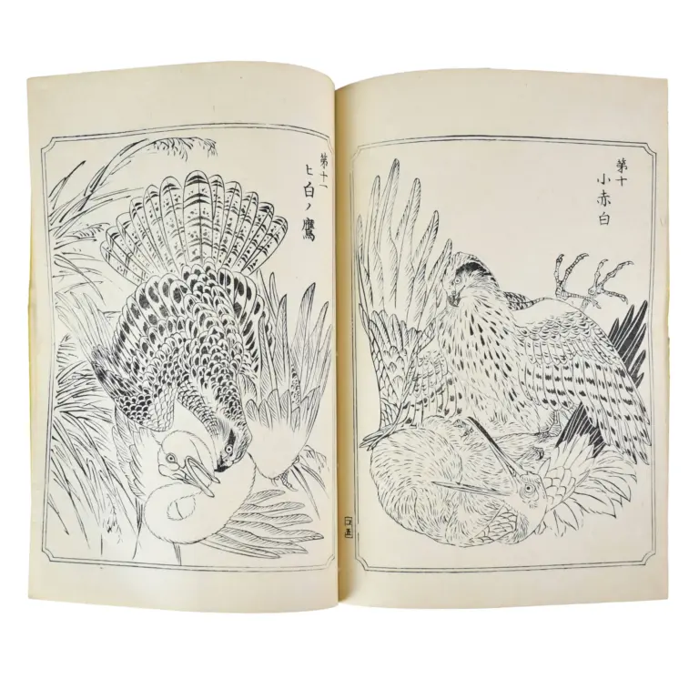 Ehon Taka Kagami [or Picture-Book Mirror of Hawks]