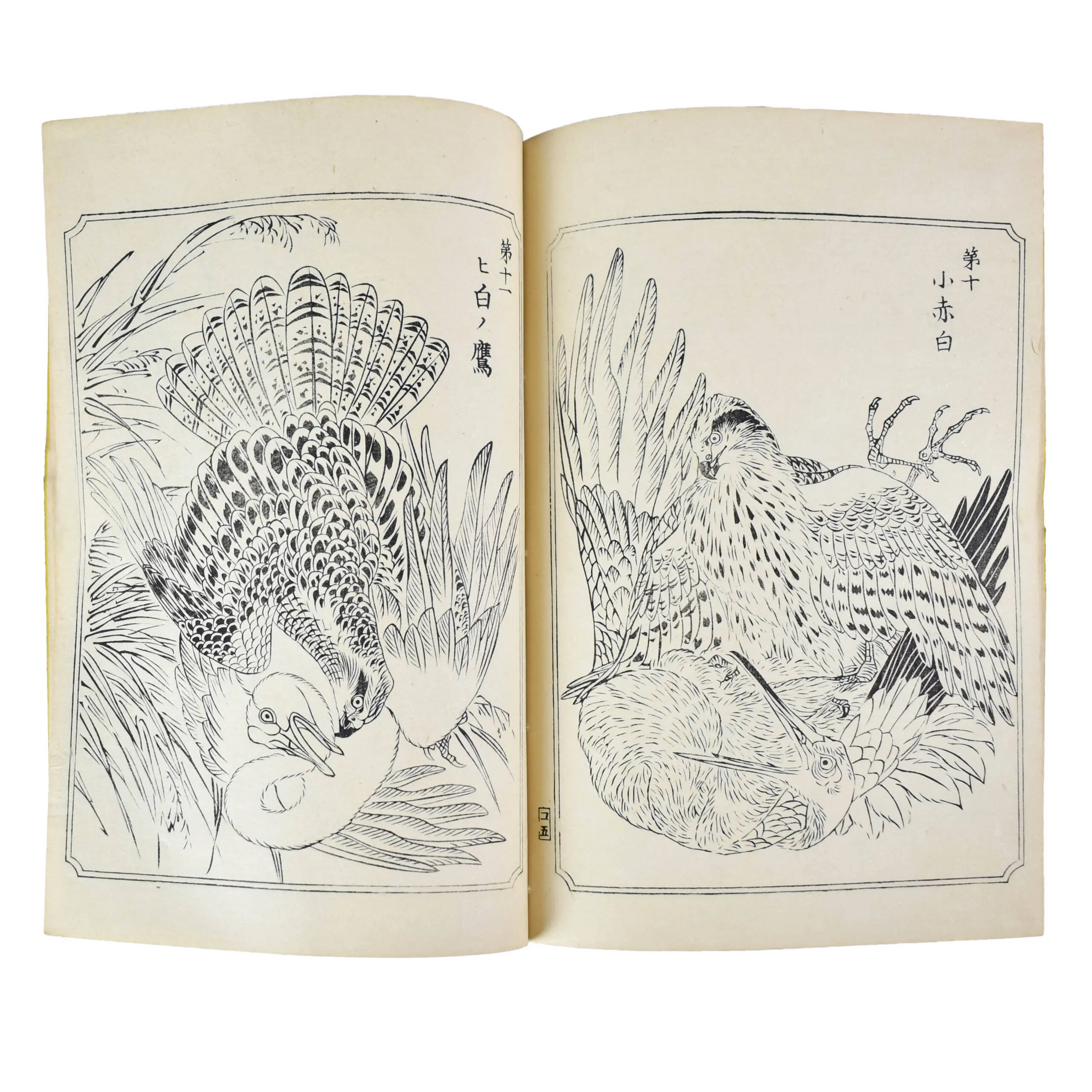 Ehon Taka Kagami [or Picture-Book Mirror of Hawks]