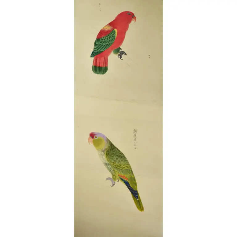 A Very Fine large Scroll of Sixty- Six Exotic Birds Painted in very strong Gouache Colours.