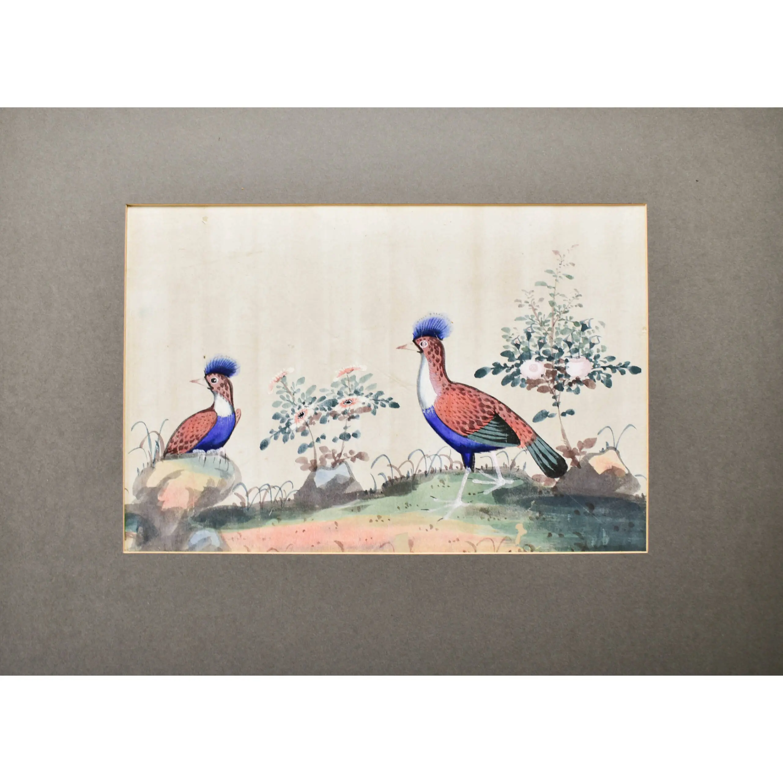 Four Watercolours of Chinese Birds (3)