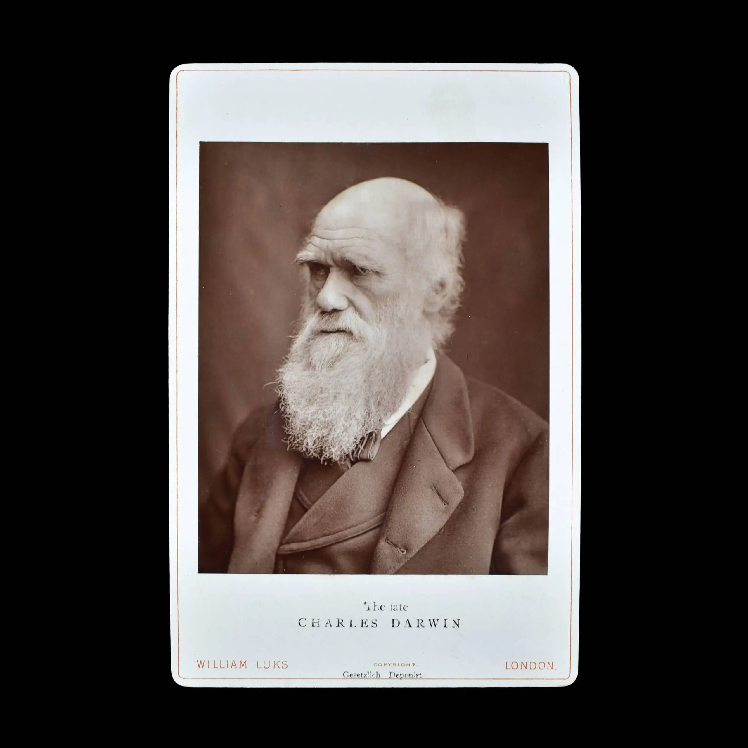 COLLECTION OF DARWIN & HUXLEY  PHOTOGRAPHS