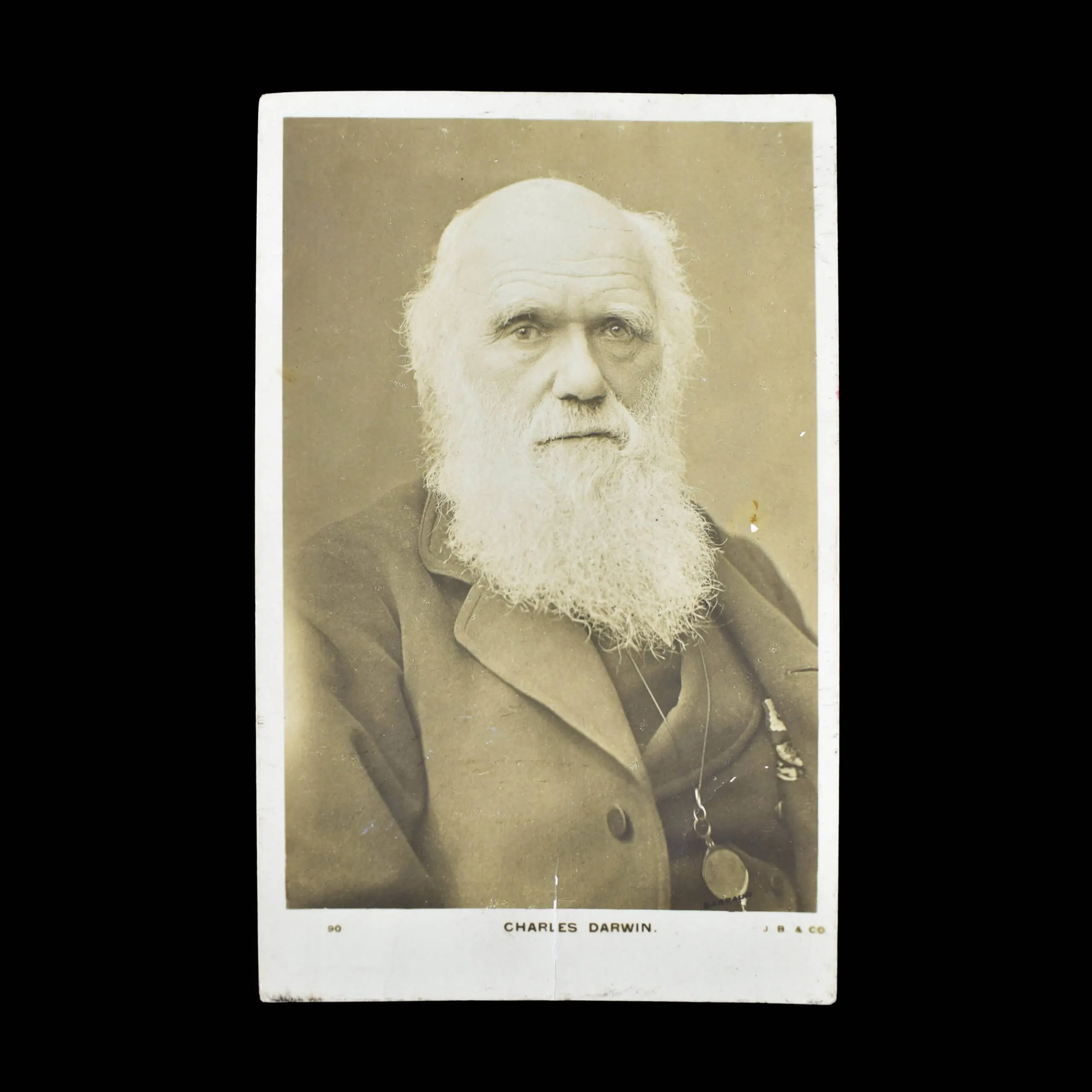 COLLECTION OF DARWIN & HUXLEY  PHOTOGRAPHS (2)