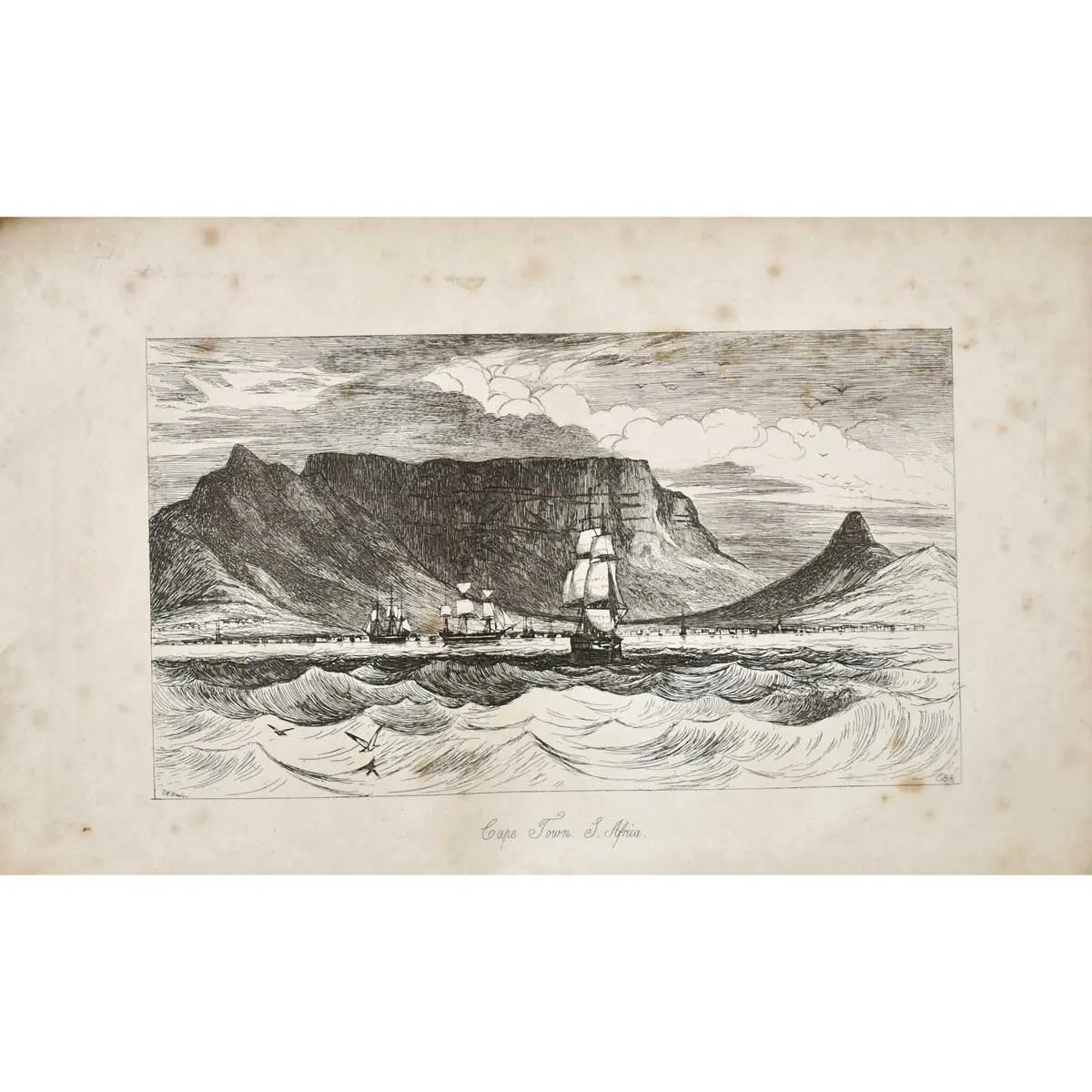A Narrative of a Visit to the Mauritius and South Africa (2)