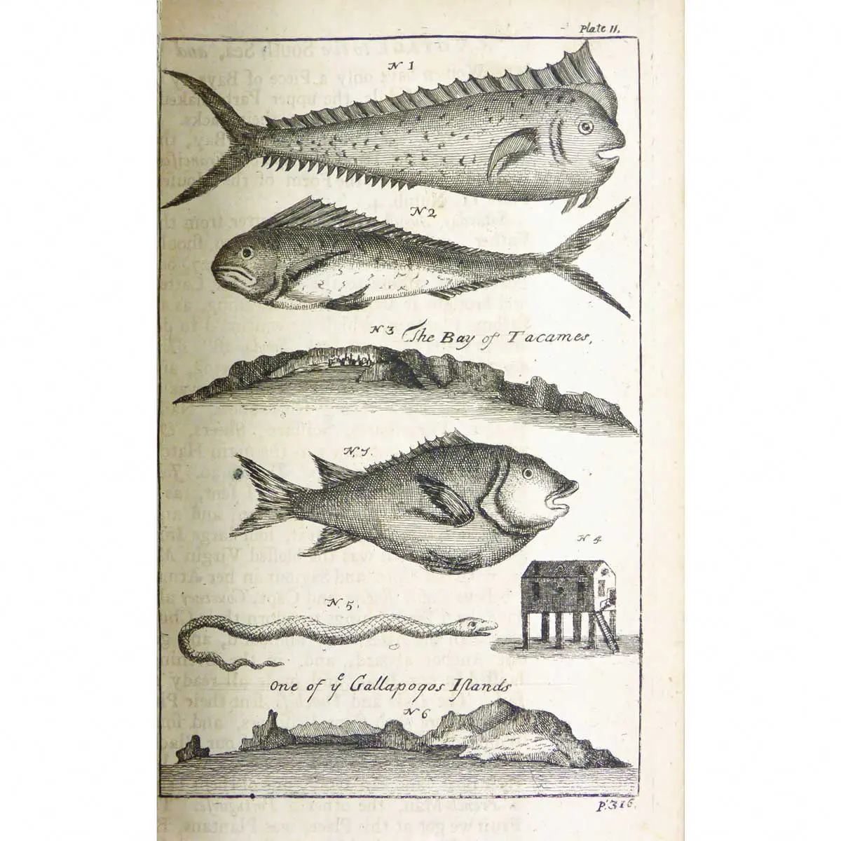 A Voyage to the South Sea, and Round the World, Perform’d in the Years 1708, 1709, 1710, and 1711, by the Ships Duke and Duchess of Bristol (3)