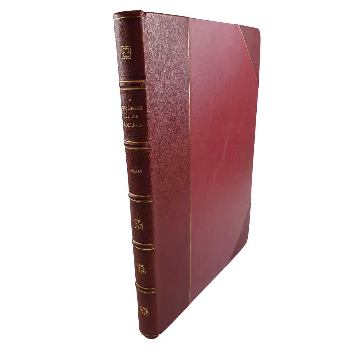 A Monograph of the Coraciidae, or Family of the Rollers (4)