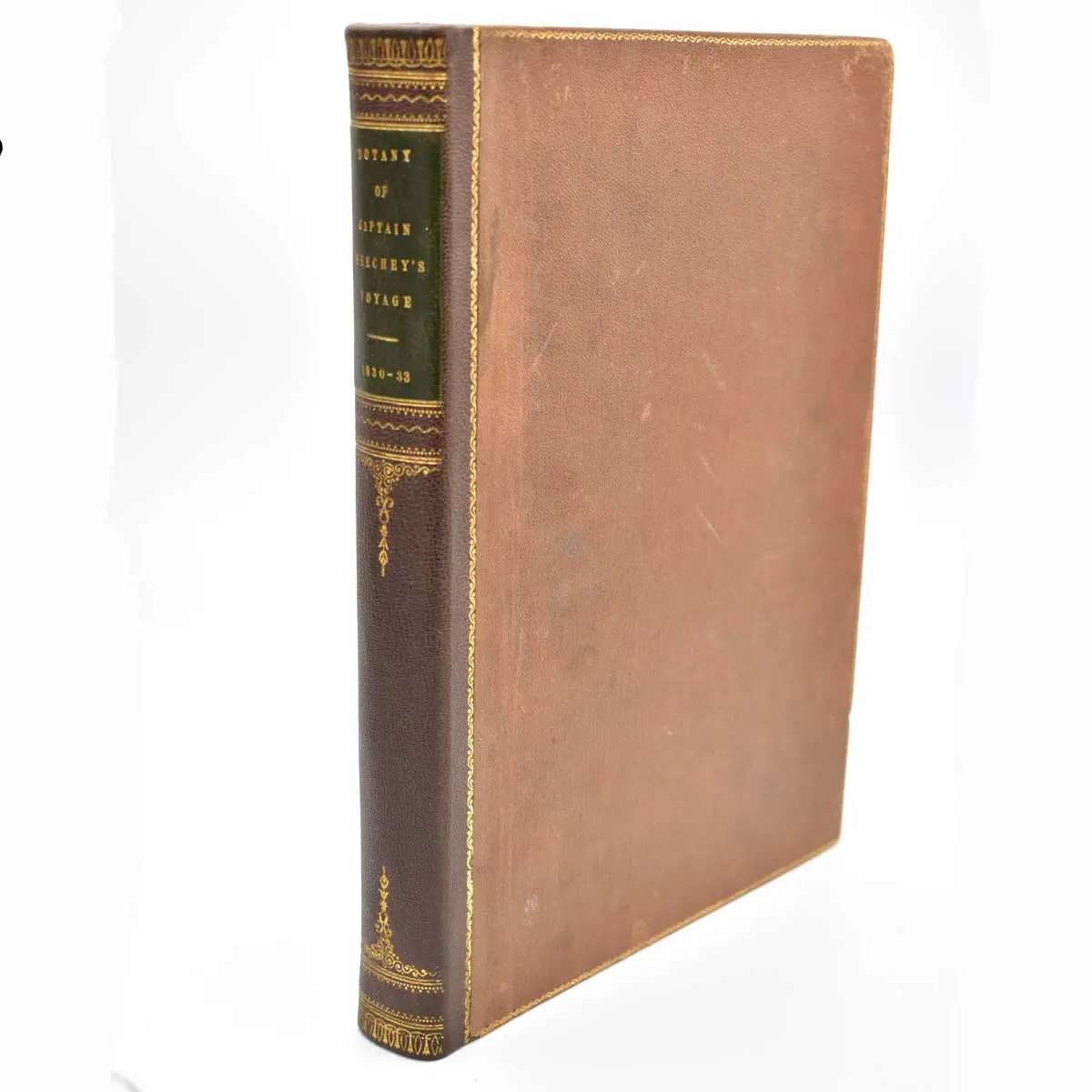 The Botany of Captain Beechey’s voyage; comprising an account of the plants collected by Messrs. Lay and Collie, and other officers of the expedition (4)