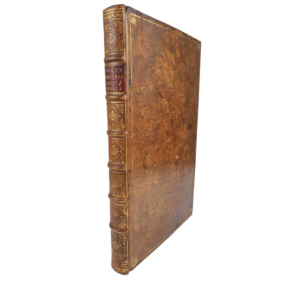 Trigonometria Britannica: sive de doctrina triangulorum libri duo (2)