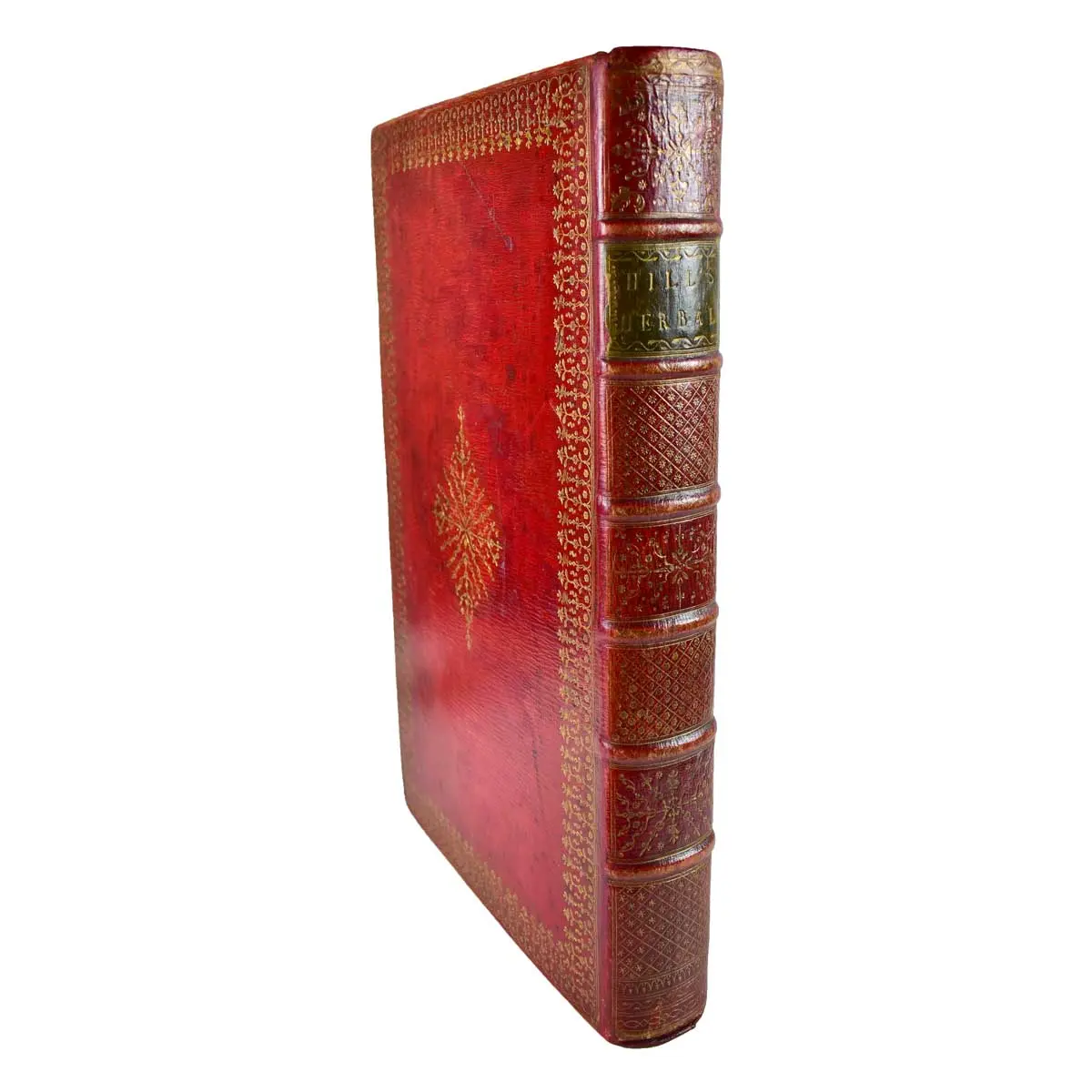 The British Herbal: An history of plants and trees, natives of Britain, cultivated for use, or raised for beauty (2)