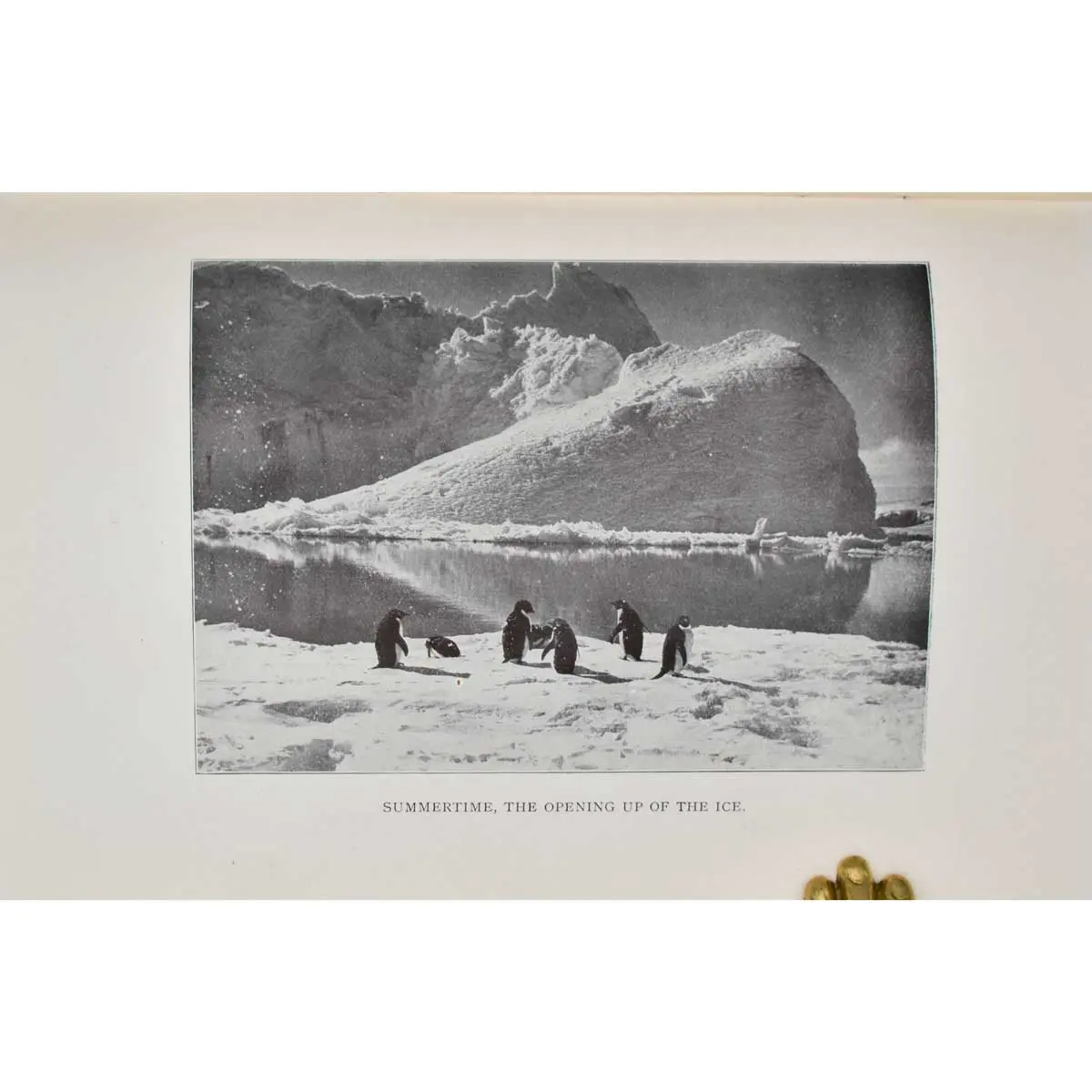 The British Antarctic Expedition 1910-1913 – Exhibition of the Photographic Pictures… (3)