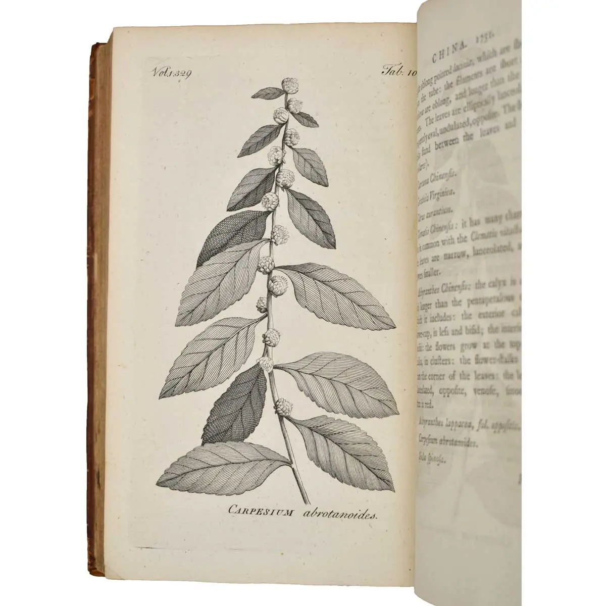 A Voyage to China and the East Indies… Together with a Voyage to Suratte … And An Account of the Chinese Husbandry…