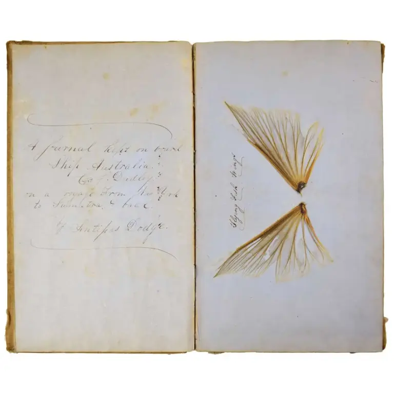 Logbook of the ship Australia of Salem, MA on a journey from New York to Sumatra and back.