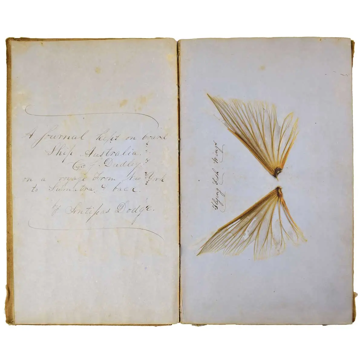 Logbook of the ship Australia of Salem, MA on a journey from New York to Sumatra and back.