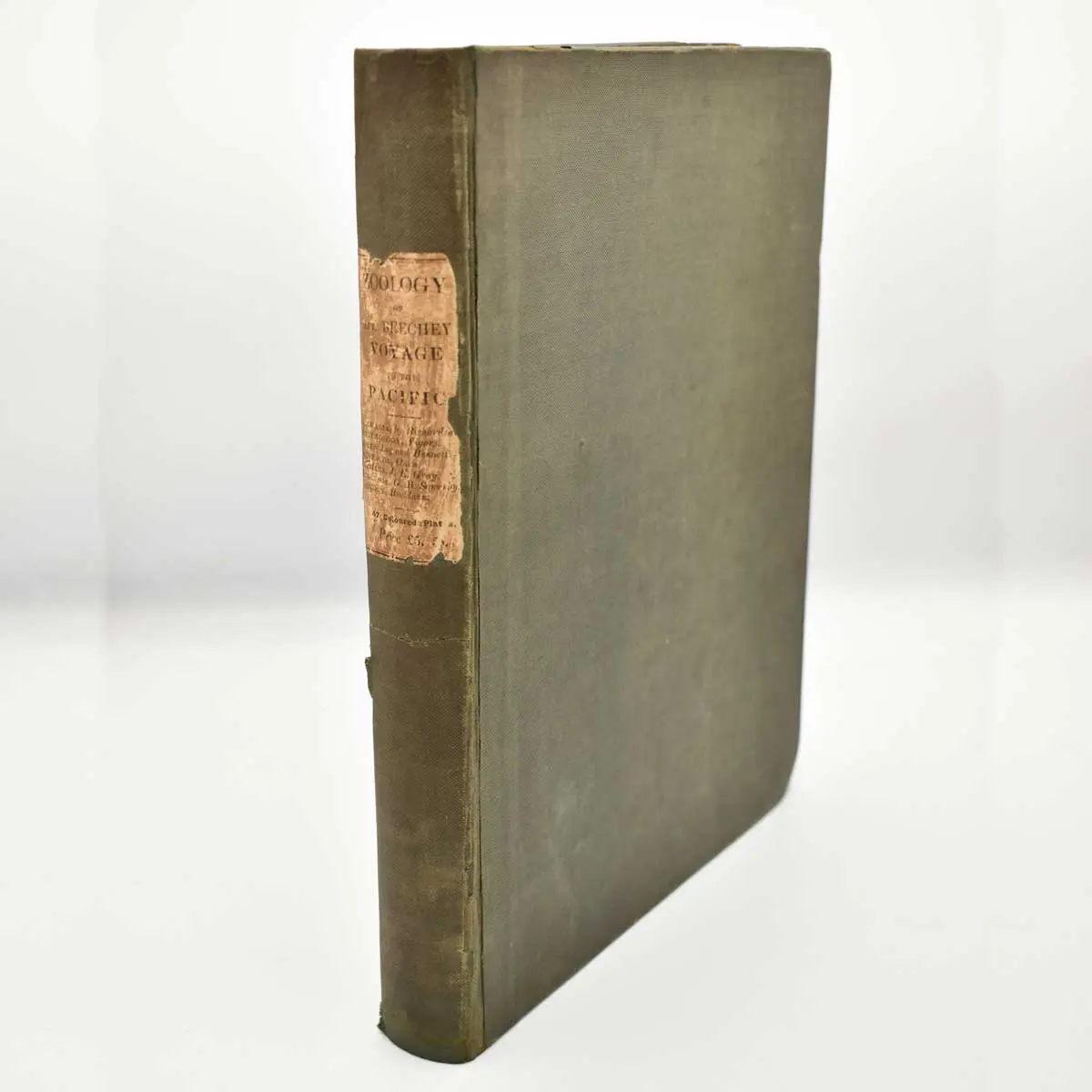 The Zoology of Captain Beechey’s Voyage; compiled from the collections and notes made by Captain Beechey, the officers and naturalist of the expedition (6)