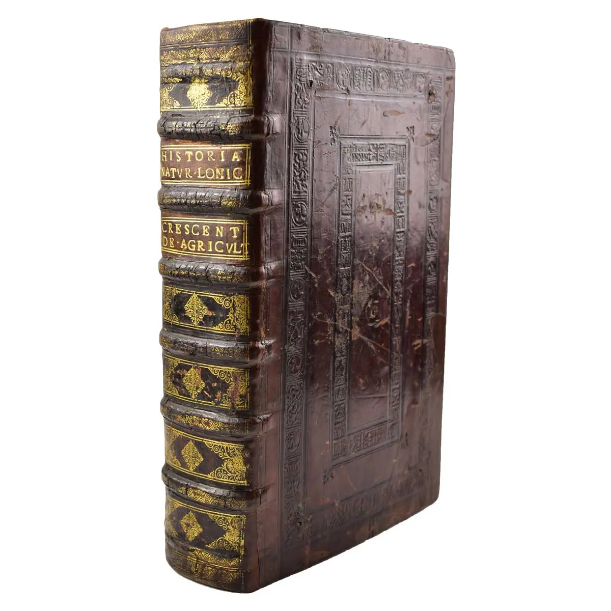 De omnibus agriculturae partivus, & de plantarum animaliusq; natura & utilitate lib. XII. non minus philosophiae & medicinae, quam oeconomiae, agricolationis, pastionumque studiosis utiles
