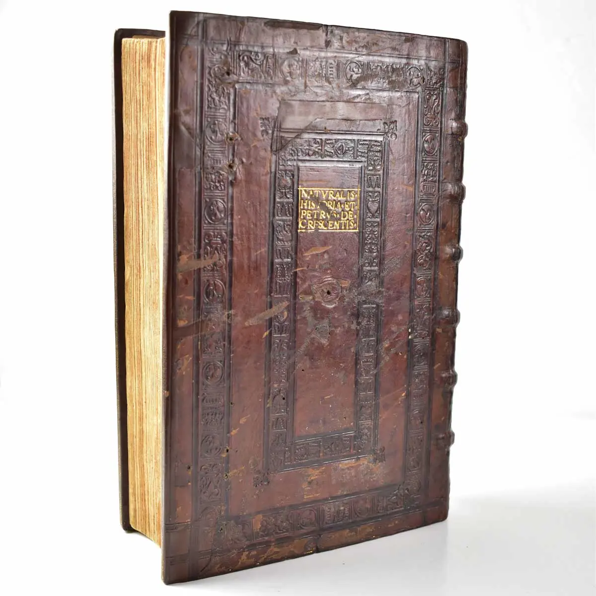 De omnibus agriculturae partivus, & de plantarum animaliusq; natura & utilitate lib. XII. non minus philosophiae & medicinae, quam oeconomiae, agricolationis, pastionumque studiosis utiles (7)