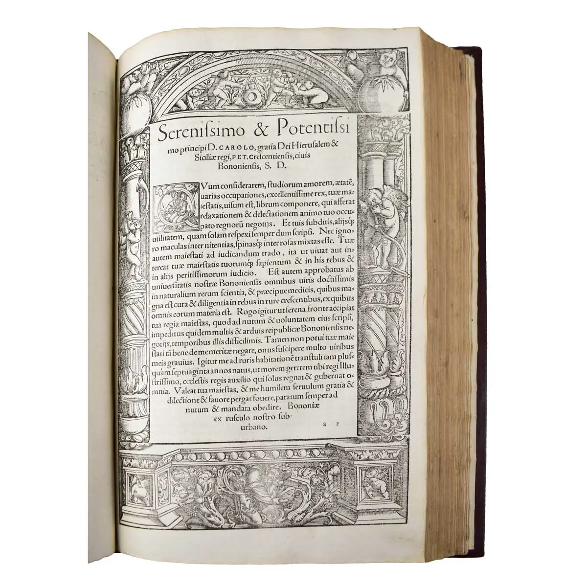 De omnibus agriculturae partivus, & de plantarum animaliusq; natura & utilitate lib. XII. non minus philosophiae & medicinae, quam oeconomiae, agricolationis, pastionumque studiosis utiles (3)