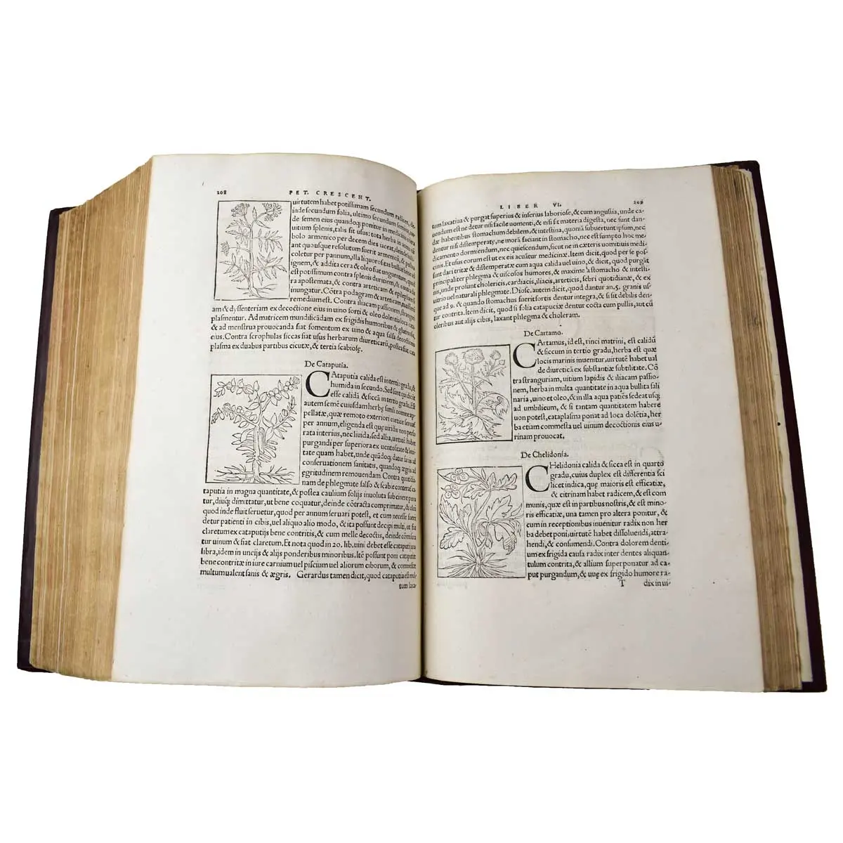 De omnibus agriculturae partivus, & de plantarum animaliusq; natura & utilitate lib. XII. non minus philosophiae & medicinae, quam oeconomiae, agricolationis, pastionumque studiosis utiles (4)