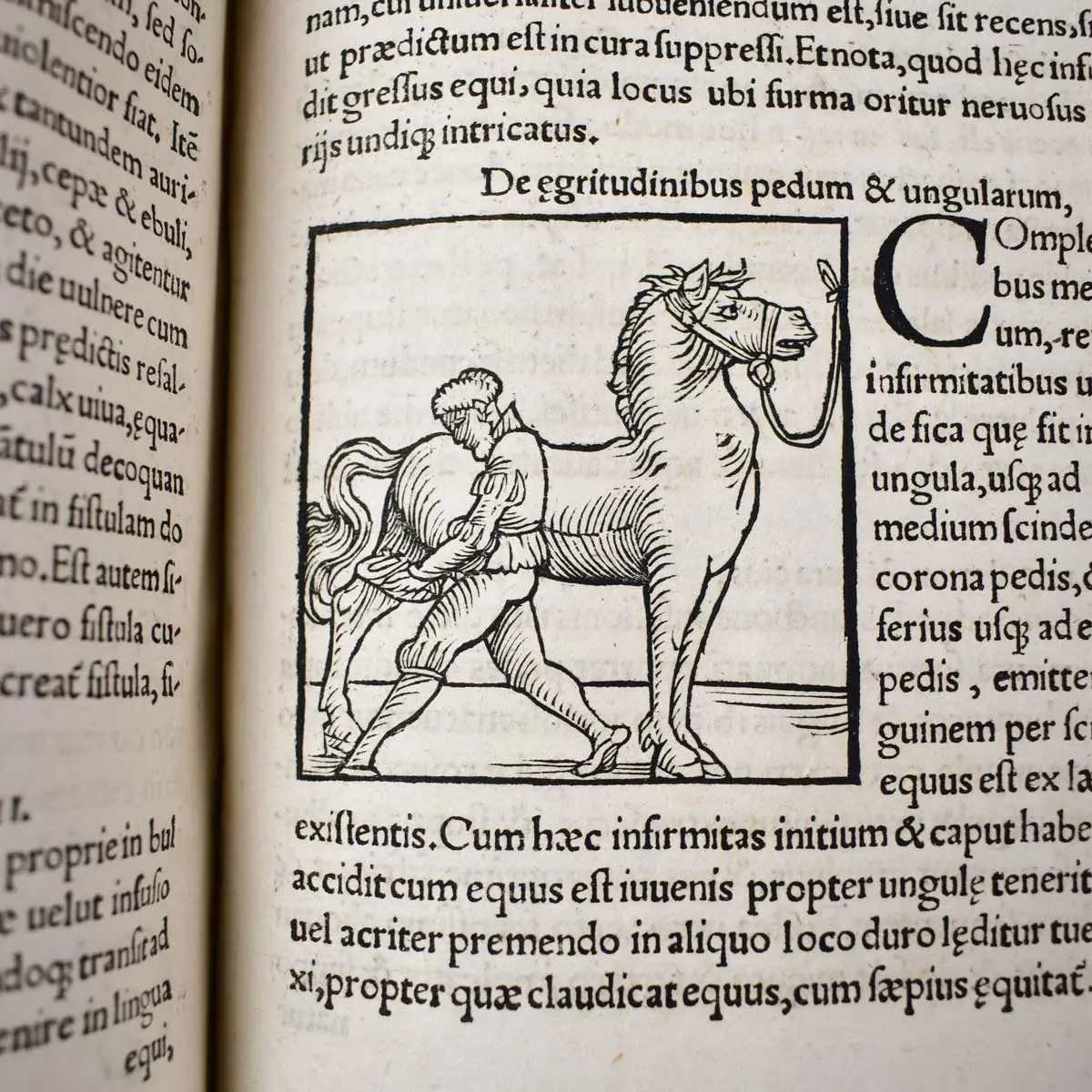 De omnibus agriculturae partivus, & de plantarum animaliusq; natura & utilitate lib. XII. non minus philosophiae & medicinae, quam oeconomiae, agricolationis, pastionumque studiosis utiles (5)