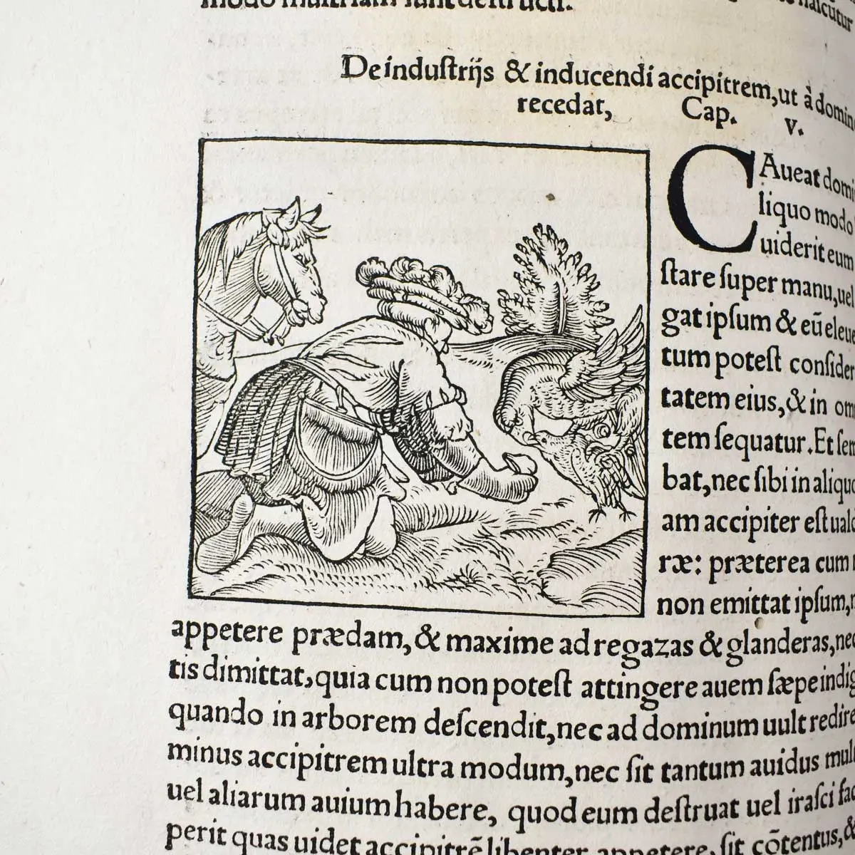 De omnibus agriculturae partivus, & de plantarum animaliusq; natura & utilitate lib. XII. non minus philosophiae & medicinae, quam oeconomiae, agricolationis, pastionumque studiosis utiles (6)