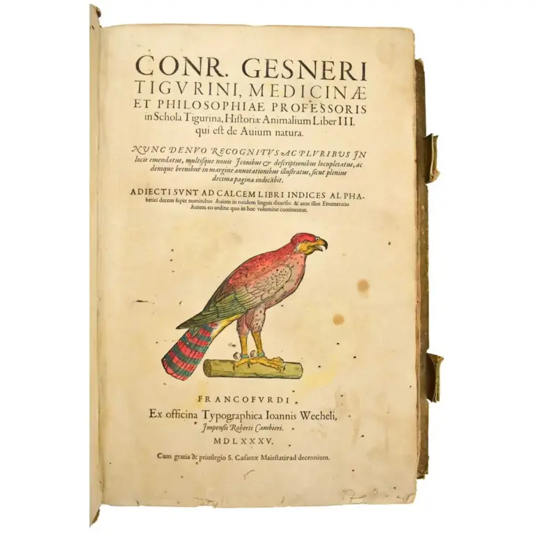 Historiae Animalium Liber III que est de Avium Natura Nunc denuo recognitus…..