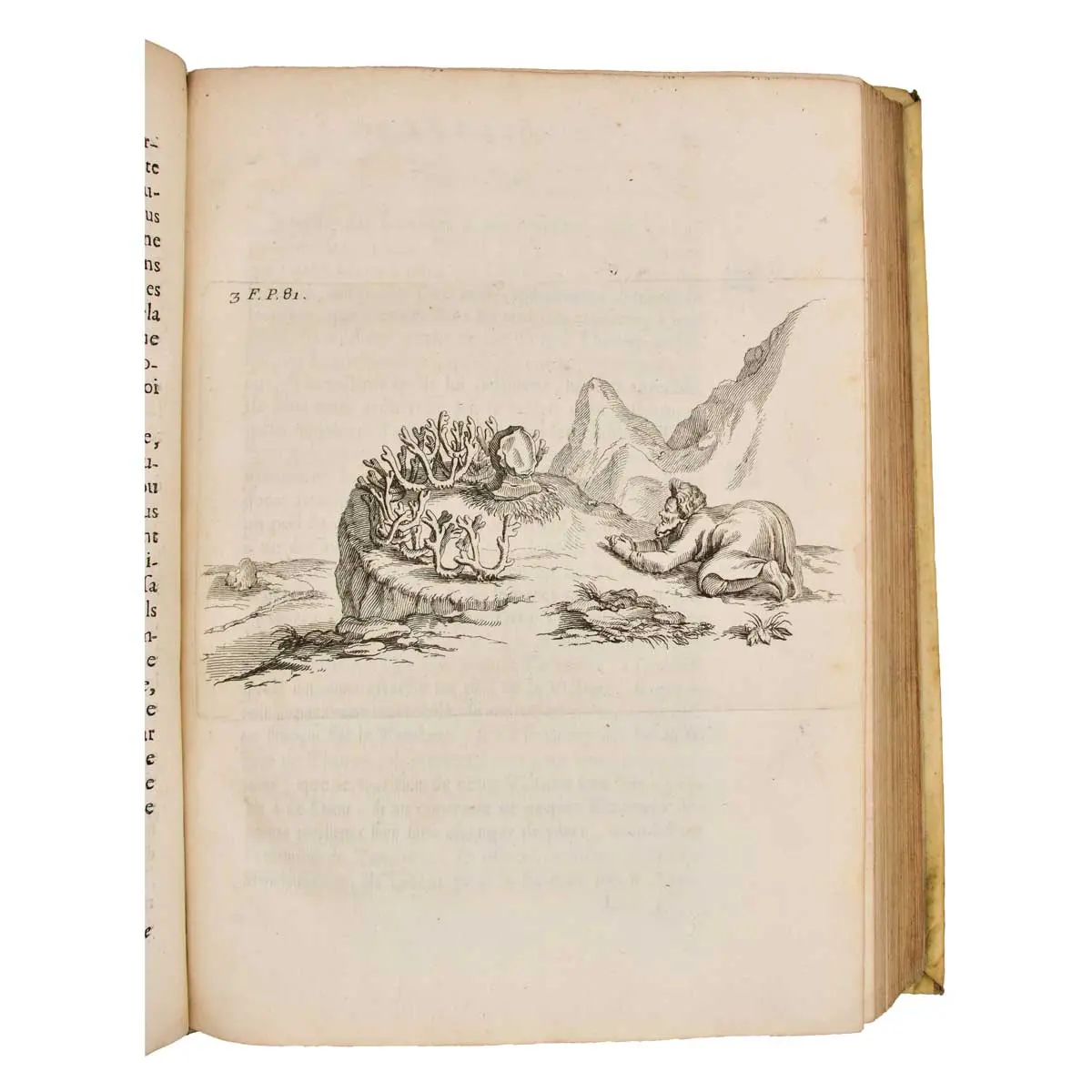 Histoire de la Laponie, sa description, l’origine, les moeurs, la maniere de vivre des ses habitans. Traduites du Latin par L. P. A. L(ubin) (3)